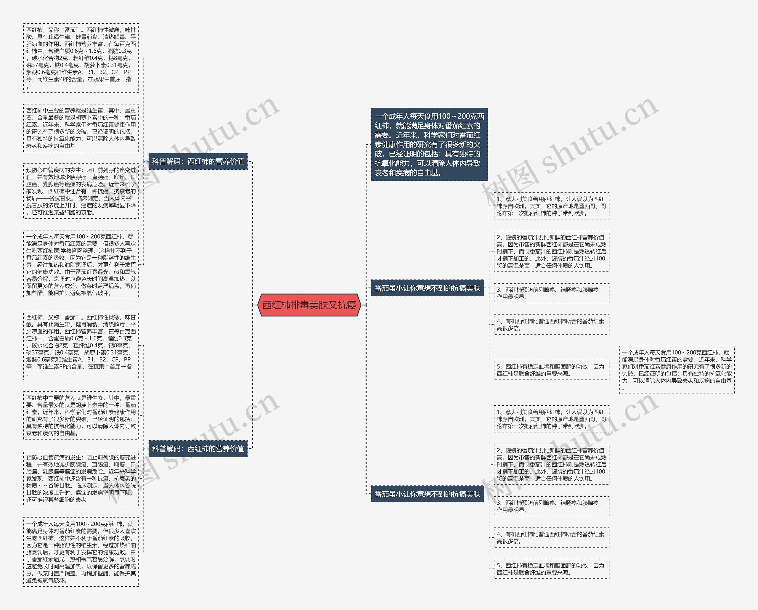 西红柿排毒美肤又抗癌思维导图