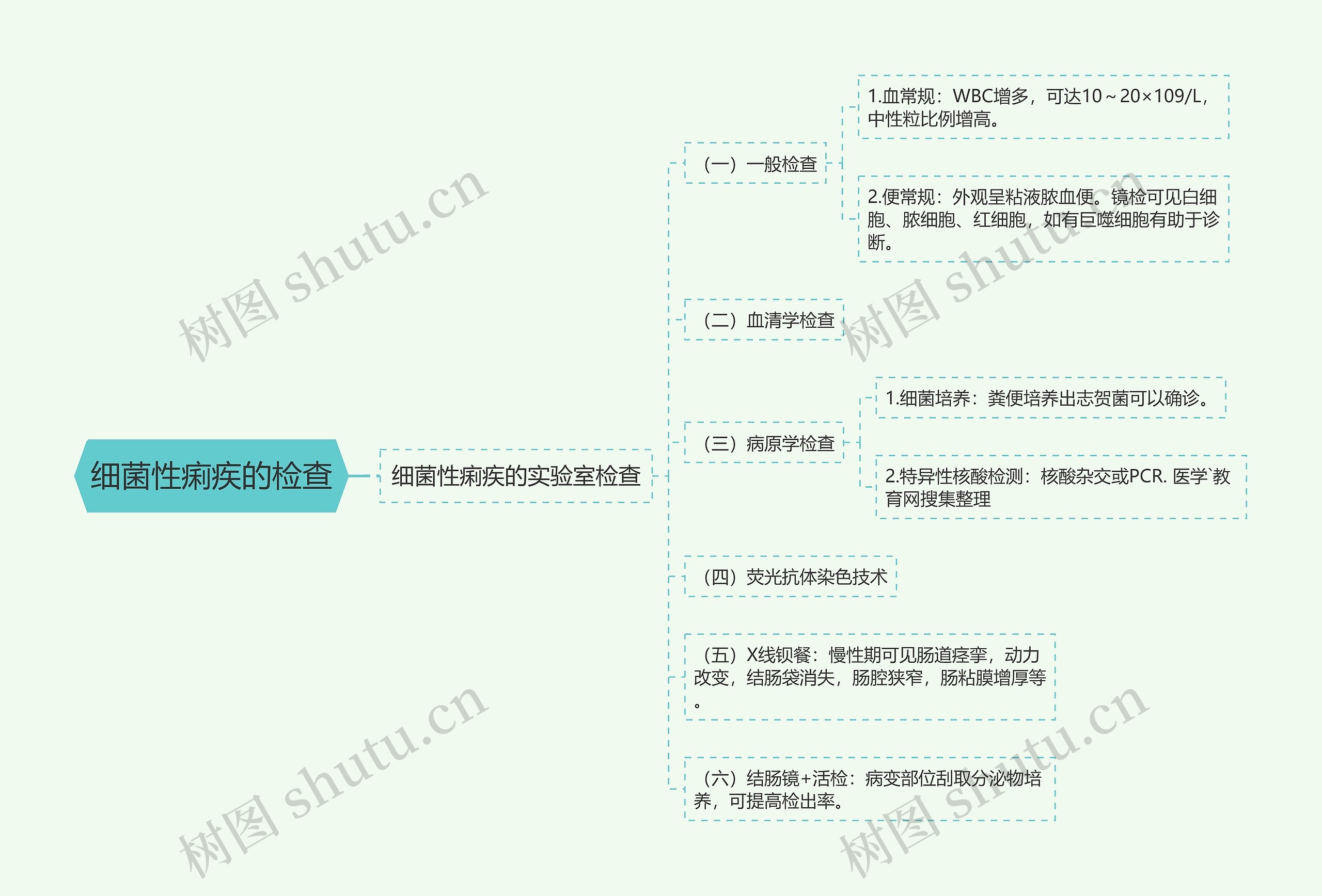 细菌性痢疾的检查思维导图