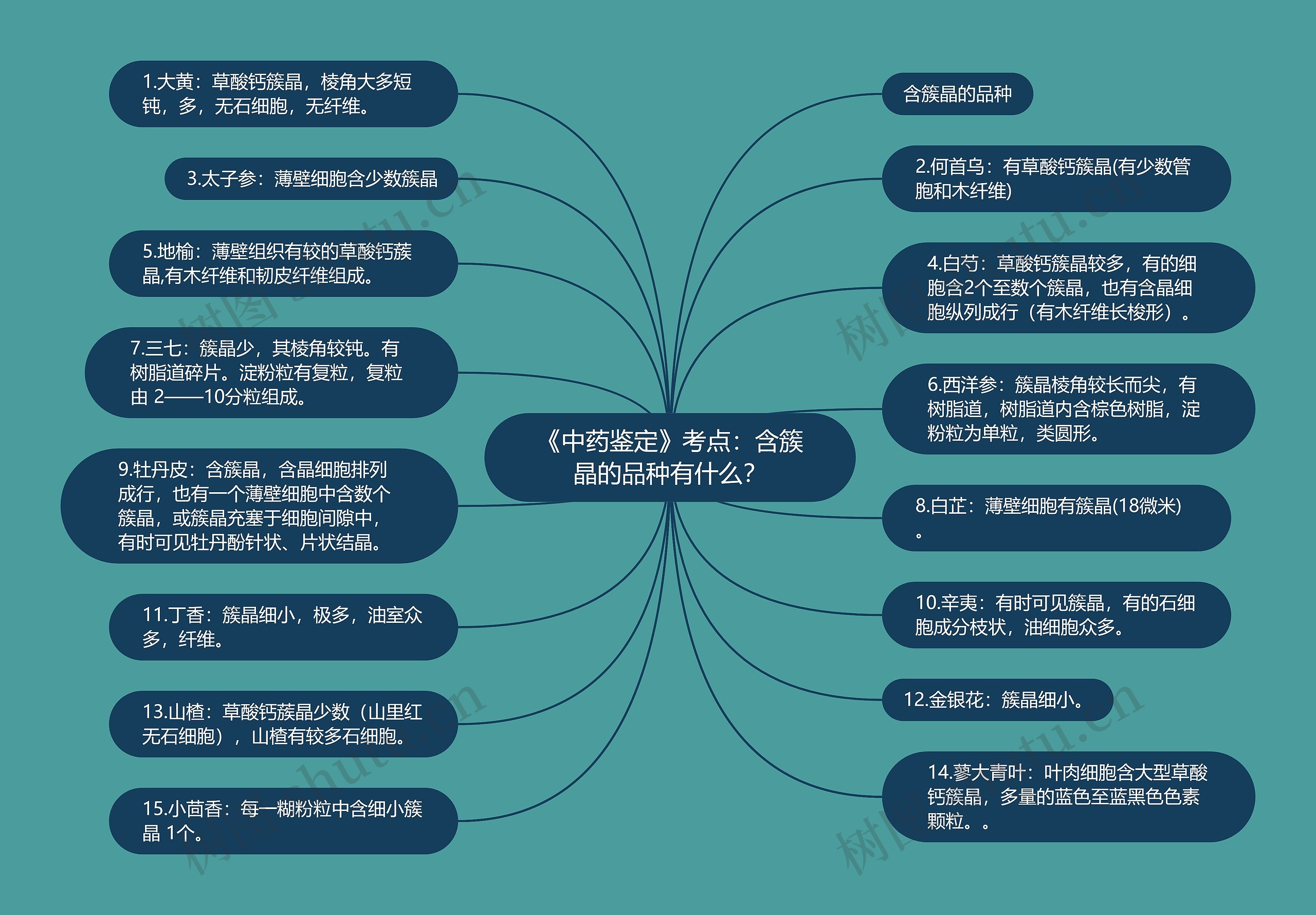 《中药鉴定》考点：含簇晶的品种有什么？思维导图