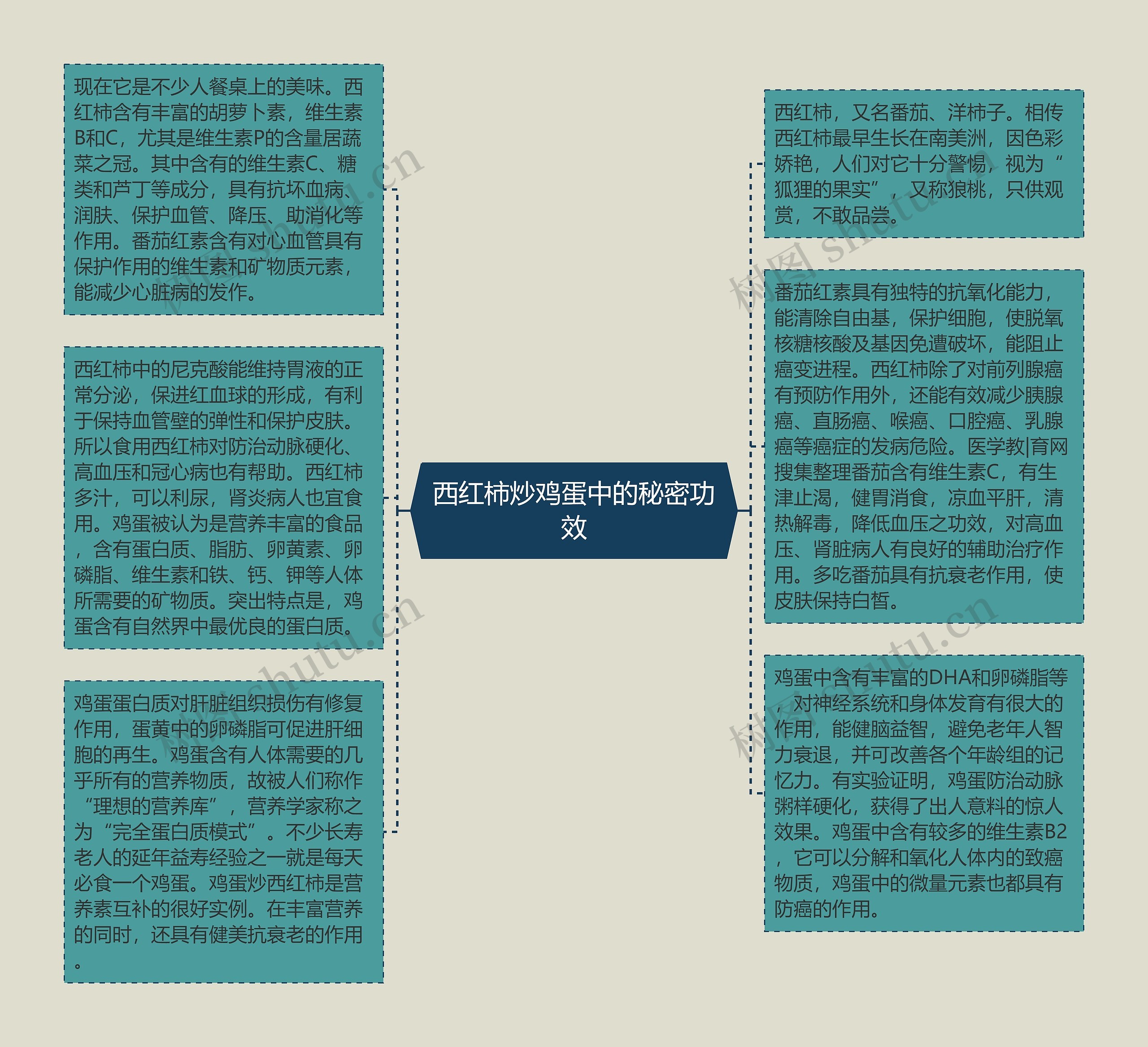 西红柿炒鸡蛋中的秘密功效思维导图