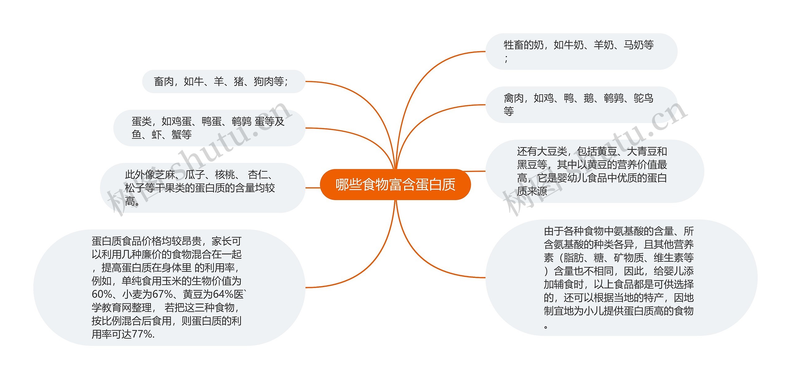 哪些食物富含蛋白质思维导图