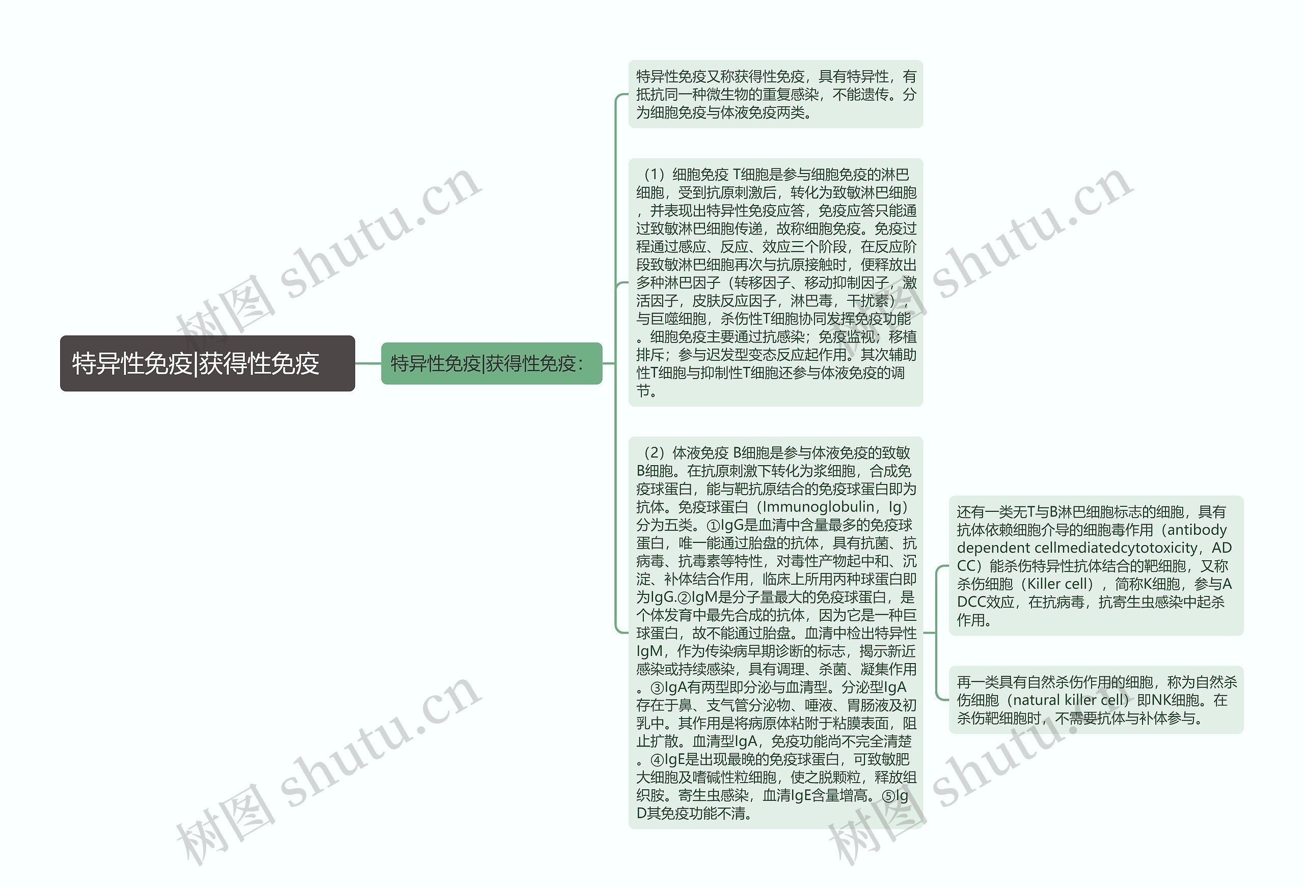 特异性免疫|获得性免疫　思维导图