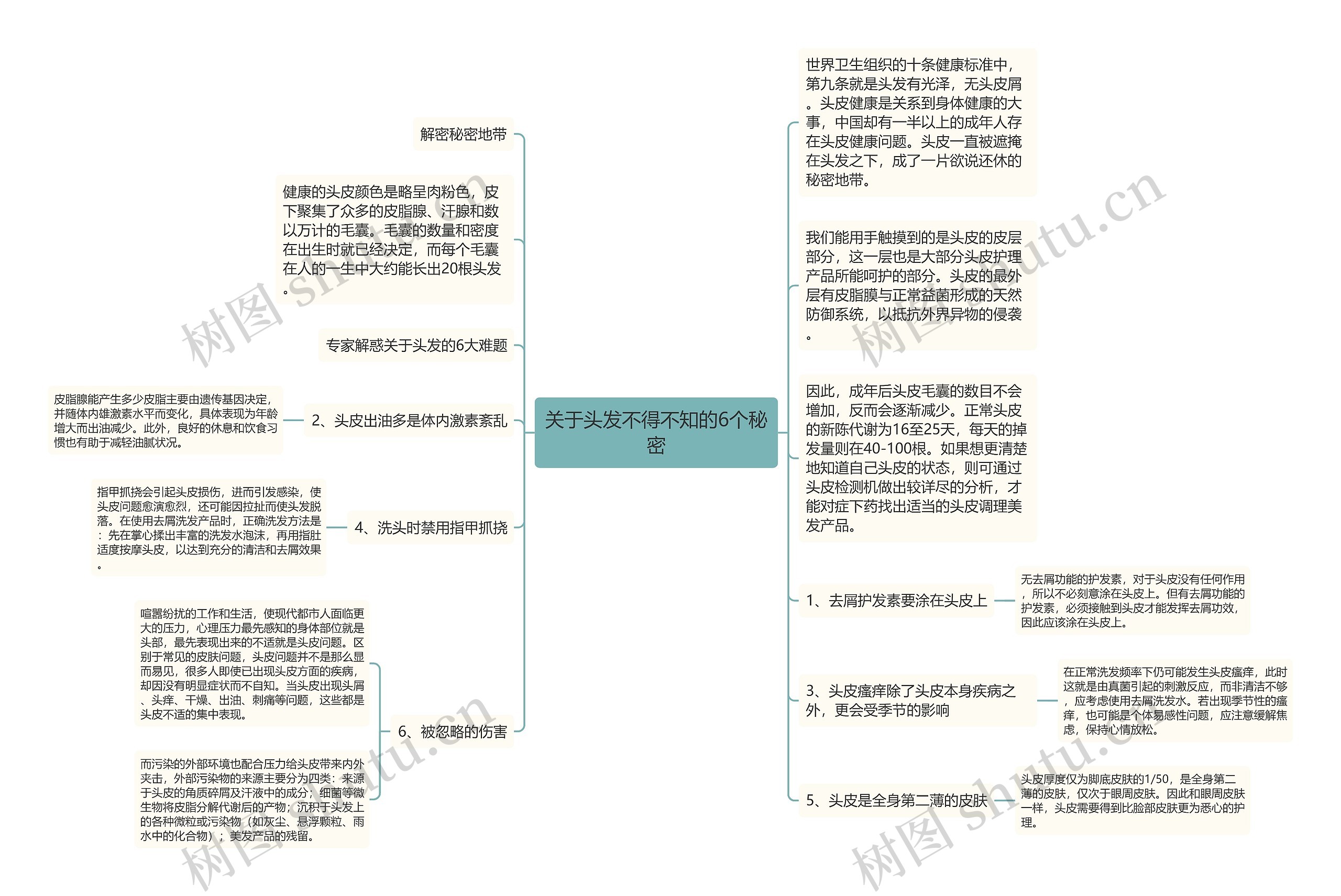 关于头发不得不知的6个秘密思维导图