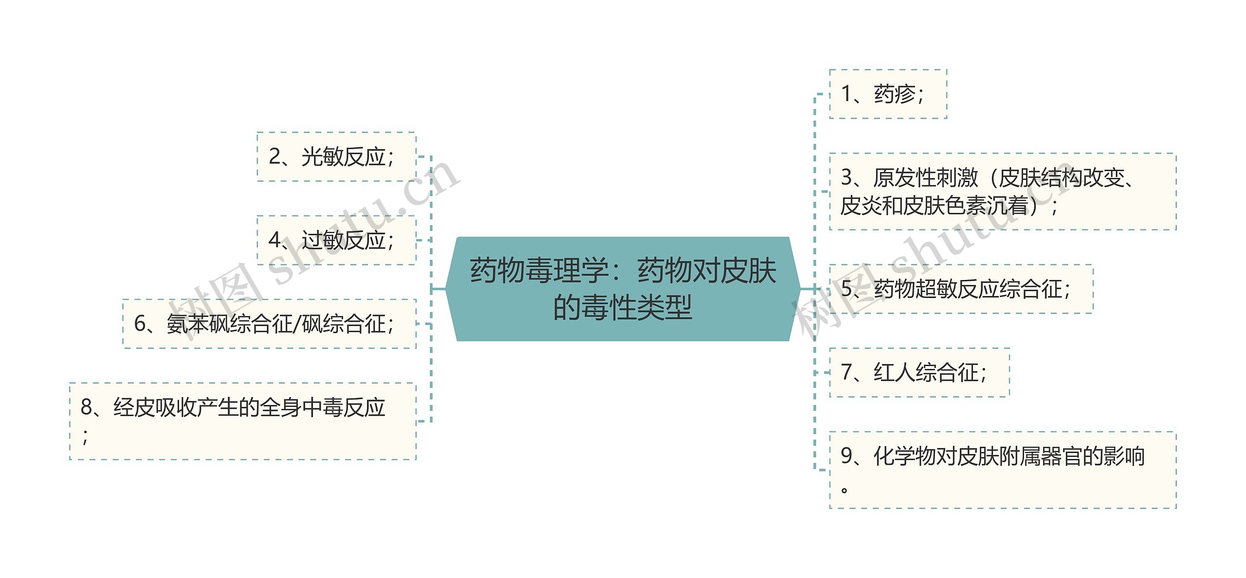 药物毒理学：药物对皮肤的毒性类型思维导图