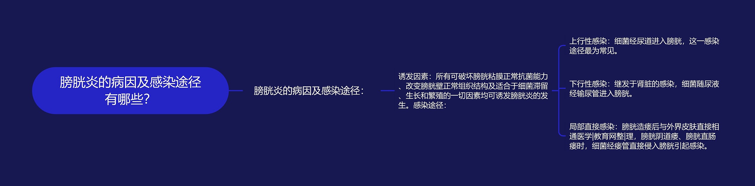 膀胱炎的病因及感染途径有哪些？思维导图