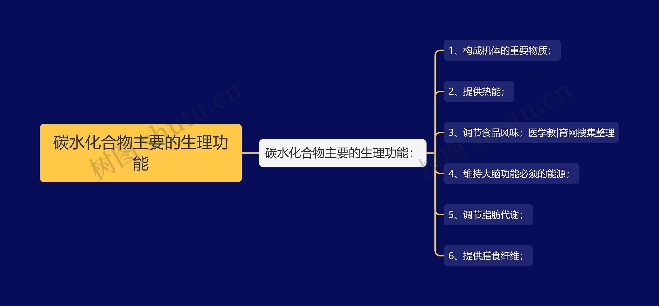 碳水化合物主要的生理功能