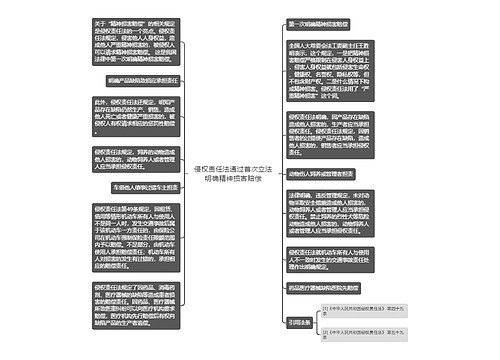 侵权责任法通过首次立法明确精神损害赔偿