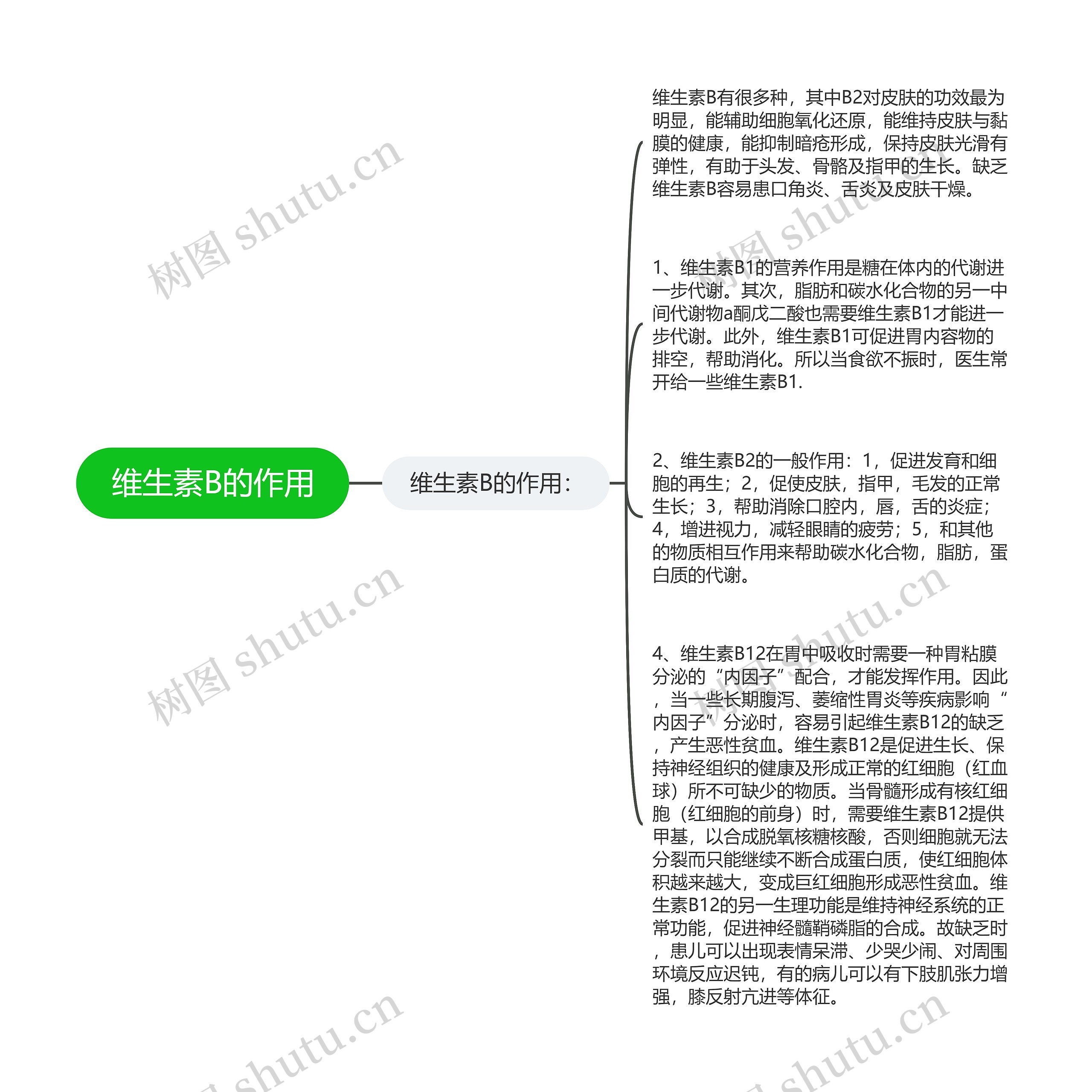 维生素B的作用思维导图