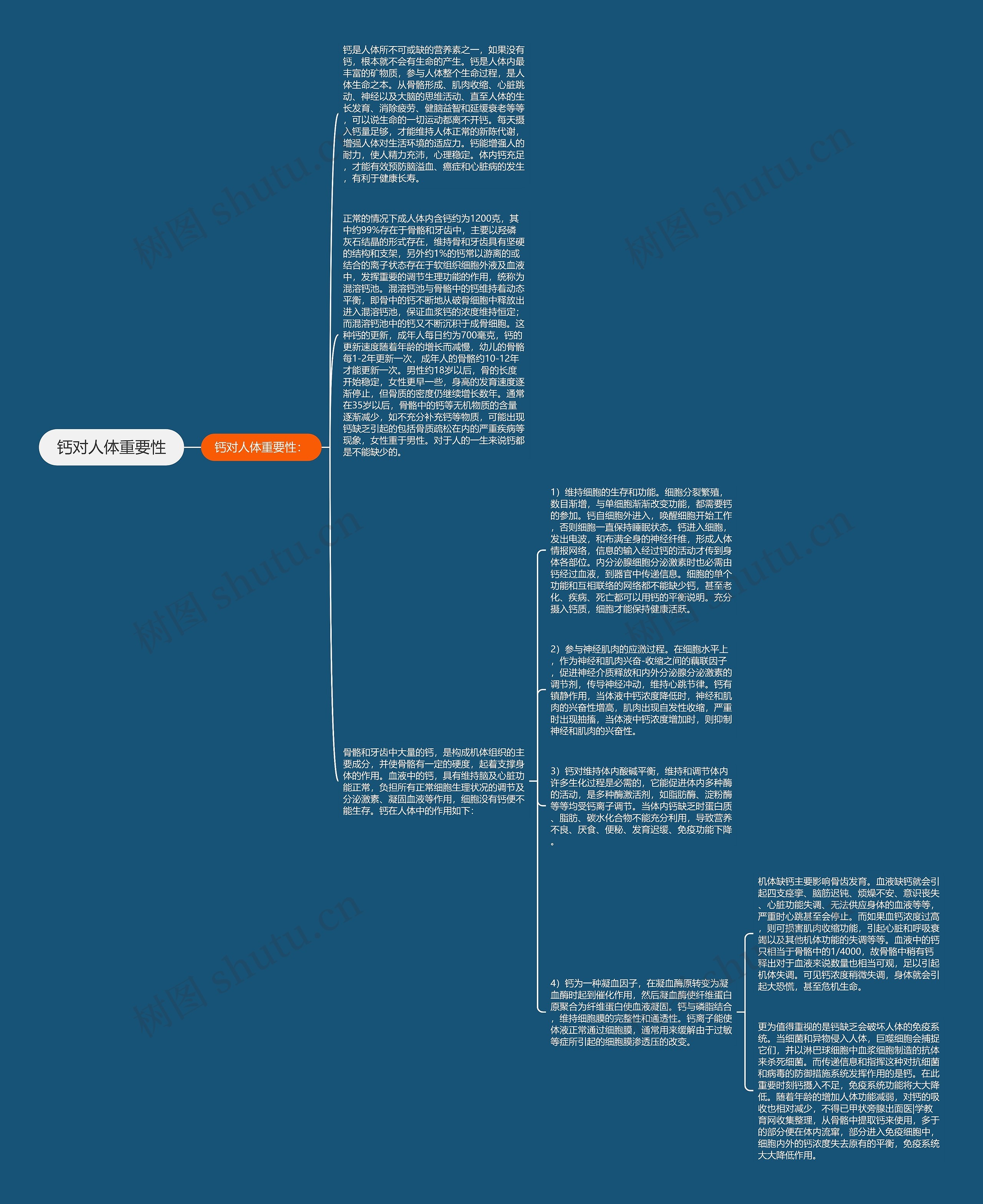 钙对人体重要性思维导图