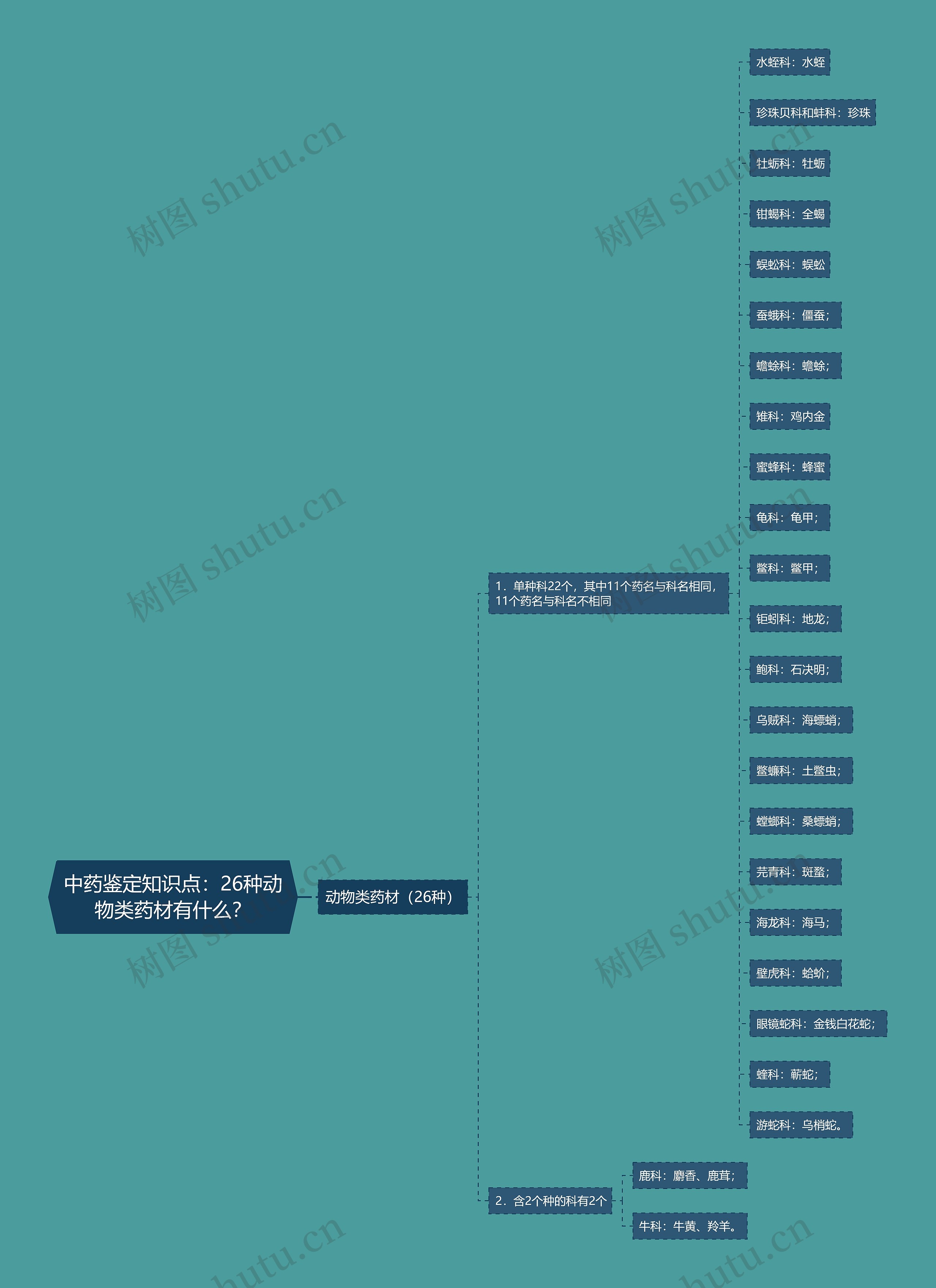 中药鉴定知识点：26种动物类药材有什么？思维导图