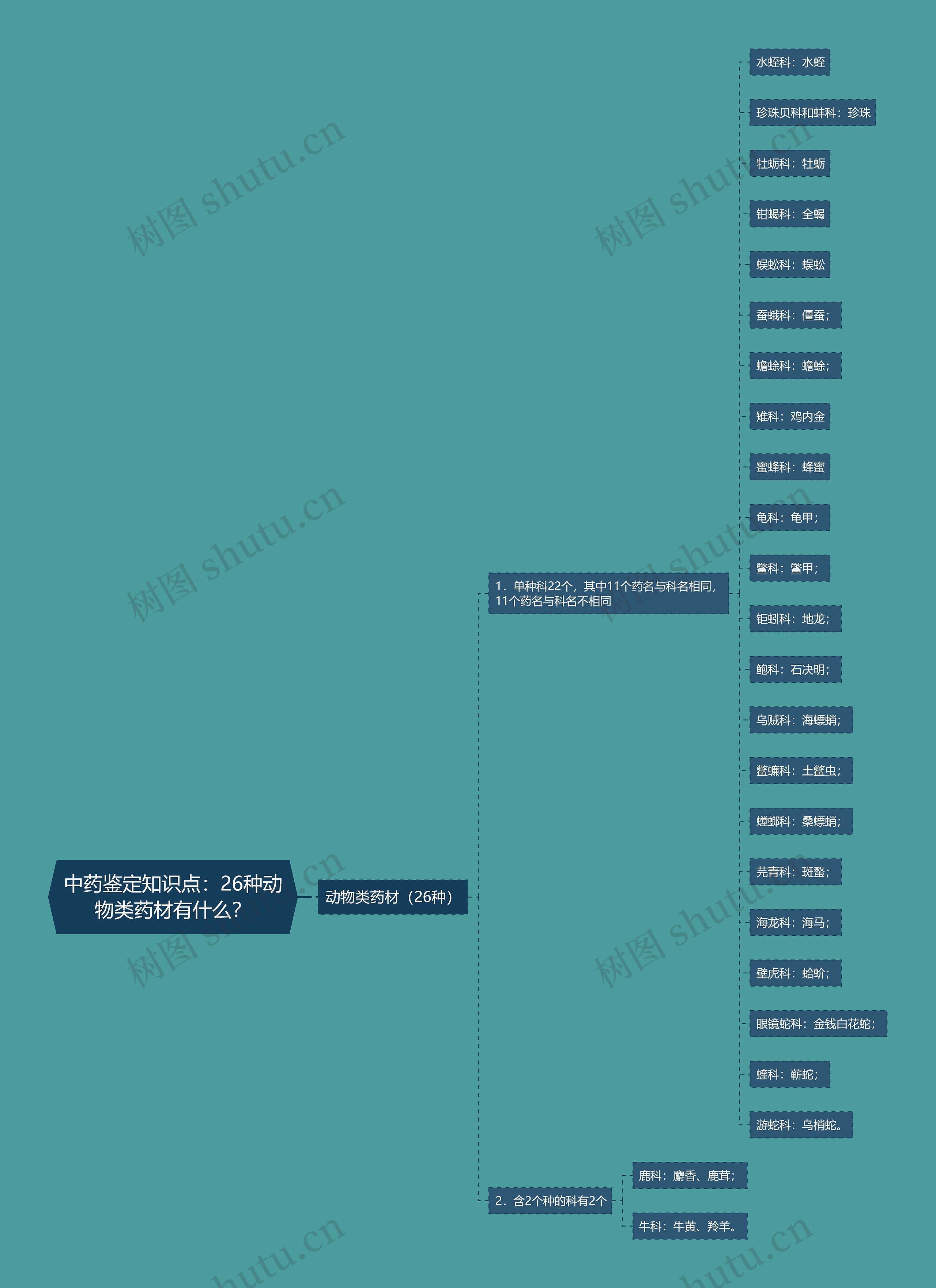 中药鉴定知识点:26种动物类药材有什么? 中药鉴定知识点:26种动物类药材有什么?