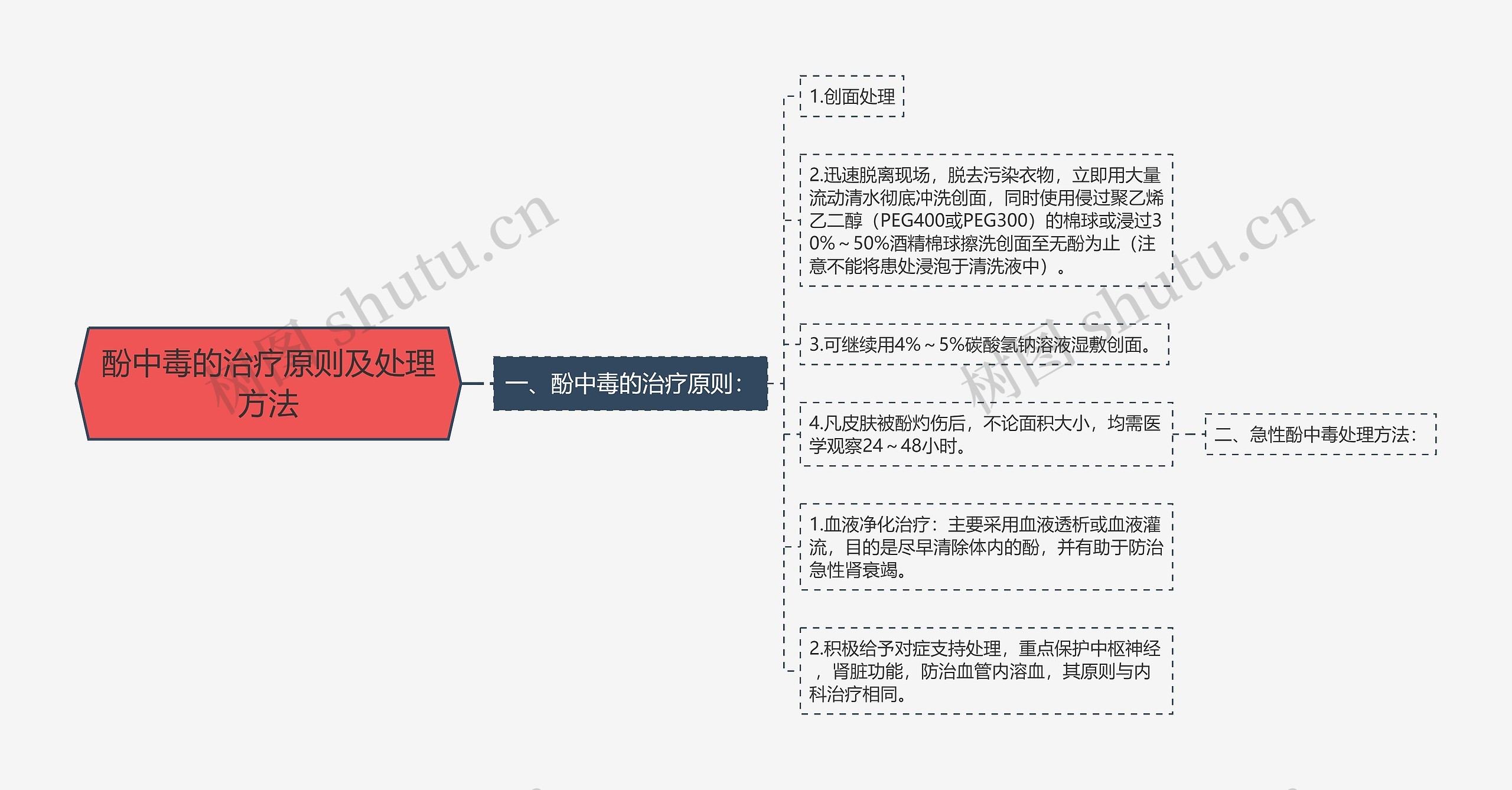 酚中毒的治疗原则及处理方法思维导图