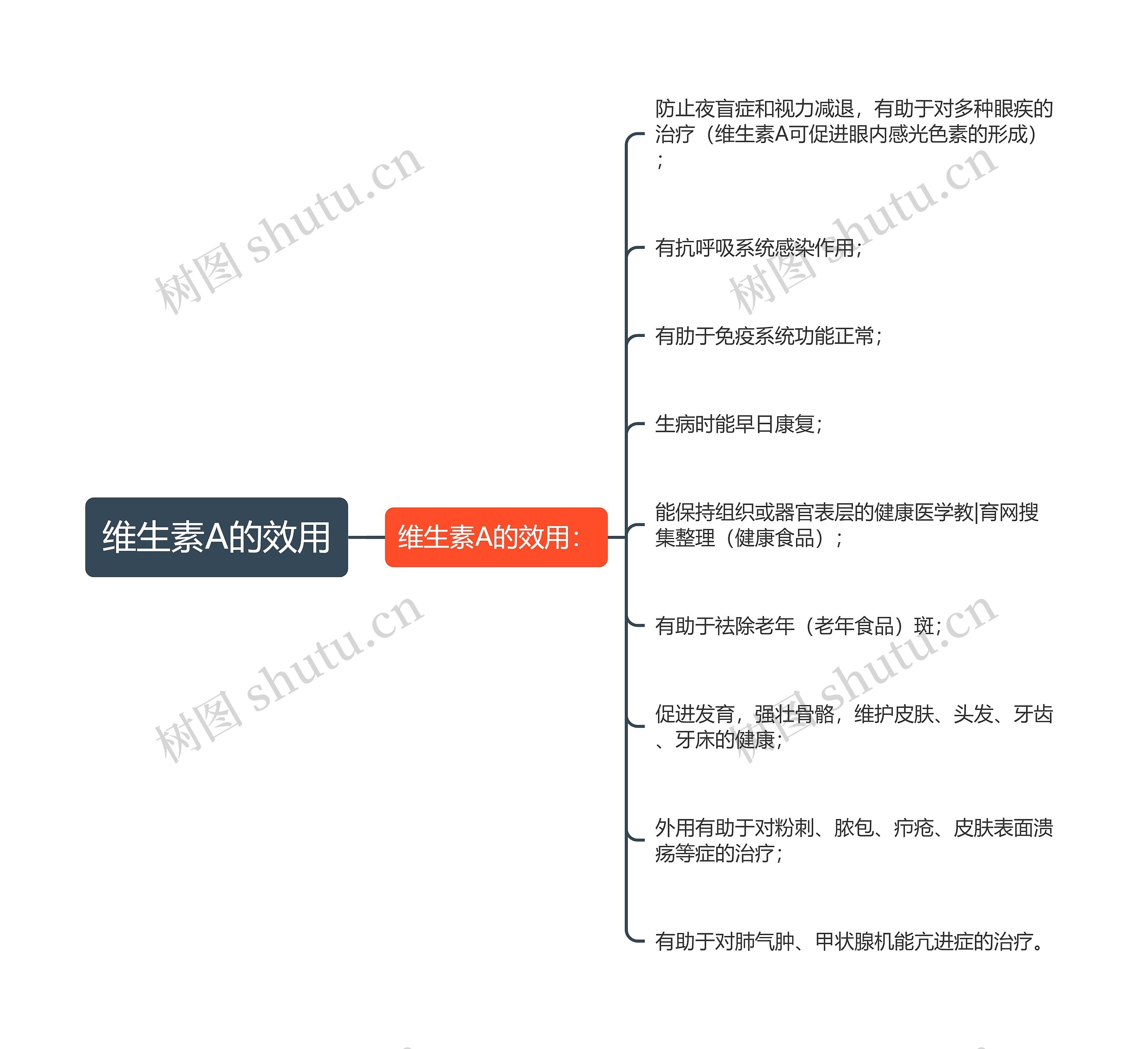 维生素A的效用思维导图