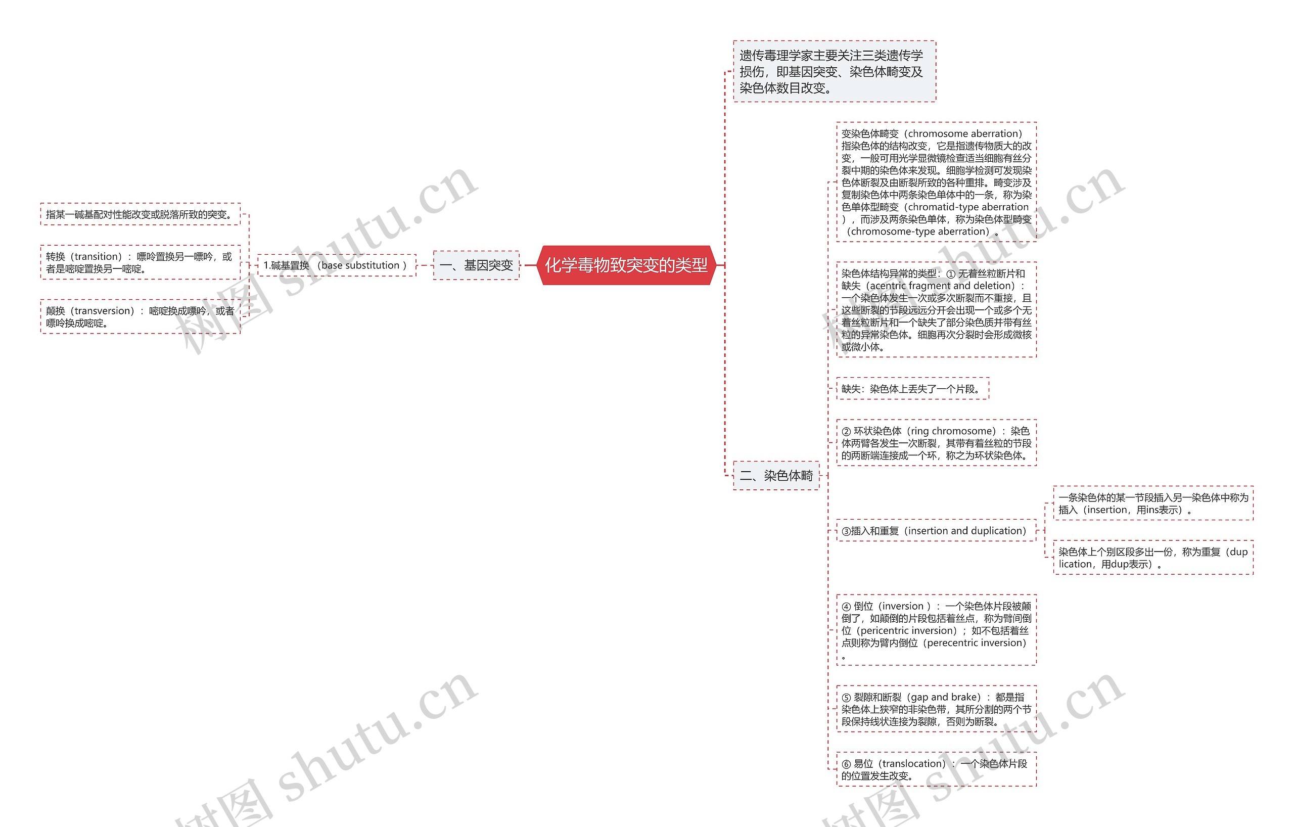 化学毒物致突变的类型思维导图