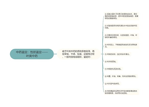 中药鉴定：性状鉴定——叶类中药