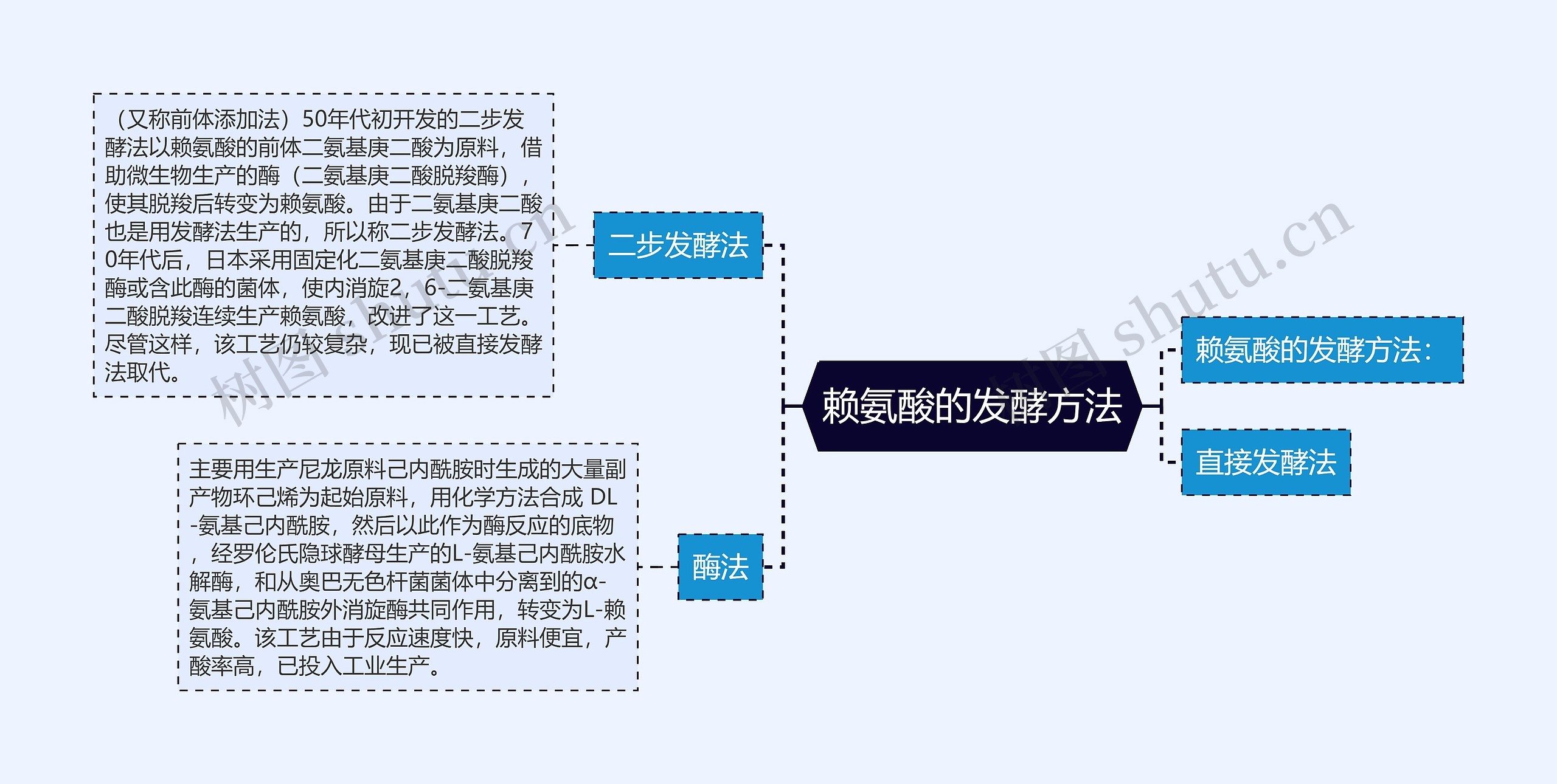 赖氨酸的发酵方法思维导图