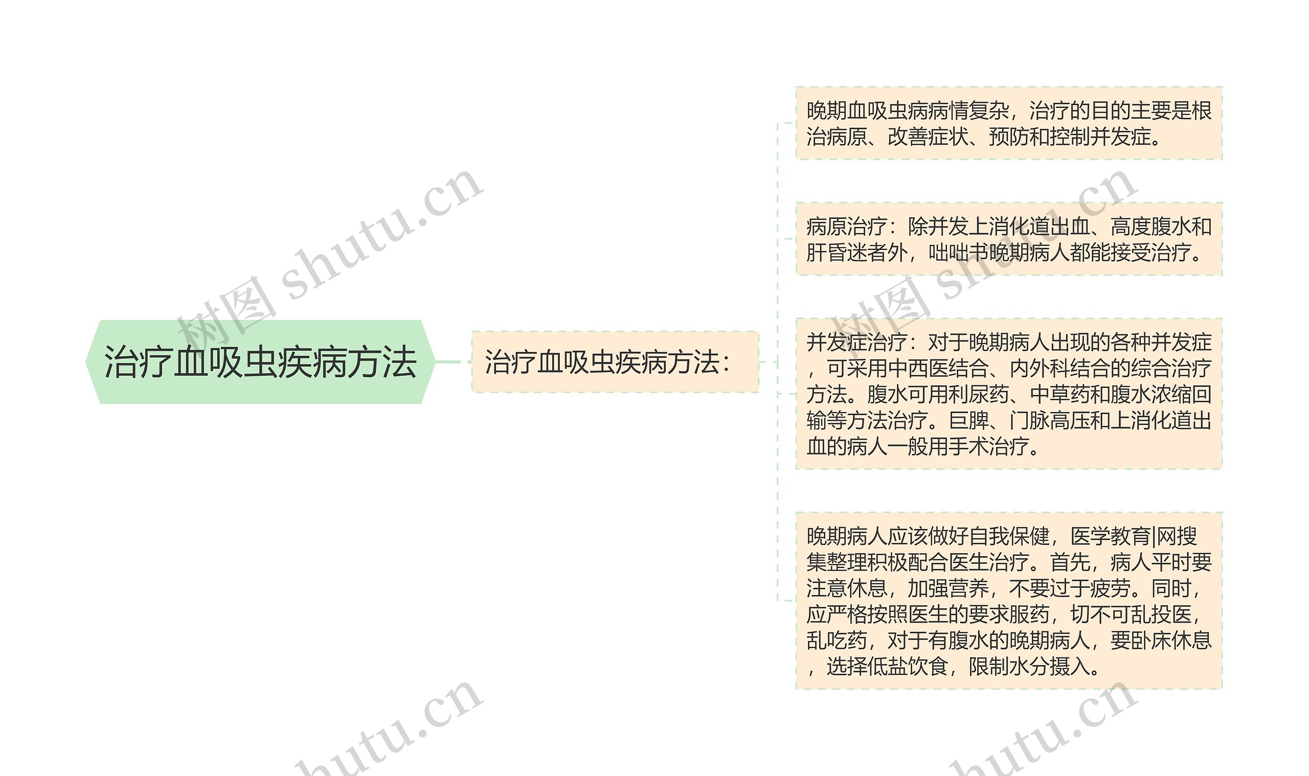 治疗血吸虫疾病方法思维导图