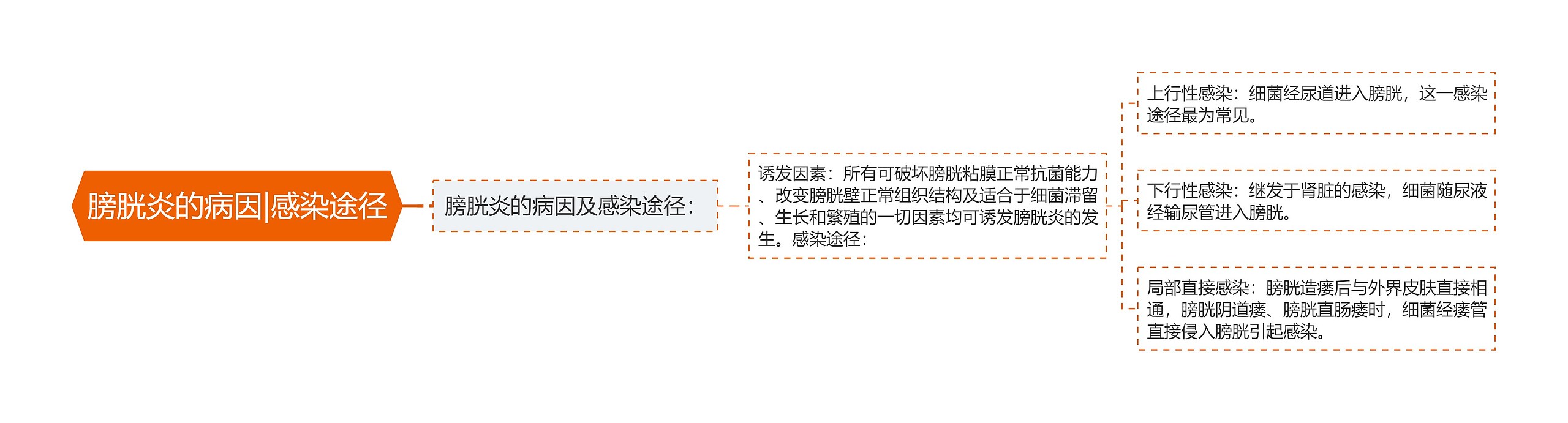 膀胱炎的病因|感染途径 膀胱炎的病因|感染途径