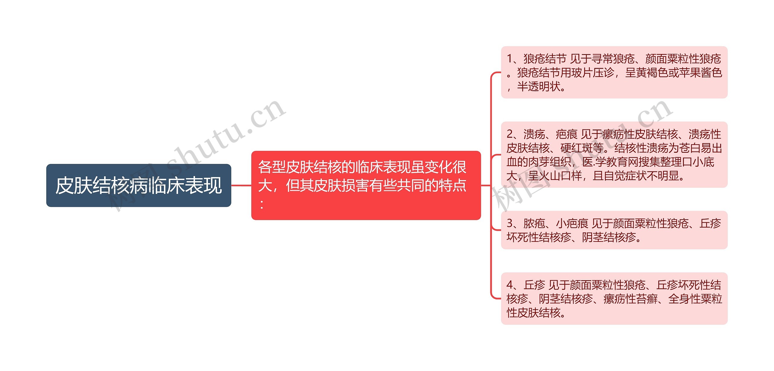 皮肤结核病临床表现思维导图