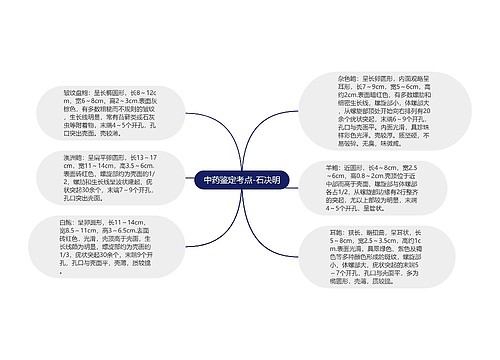中药鉴定考点-石决明