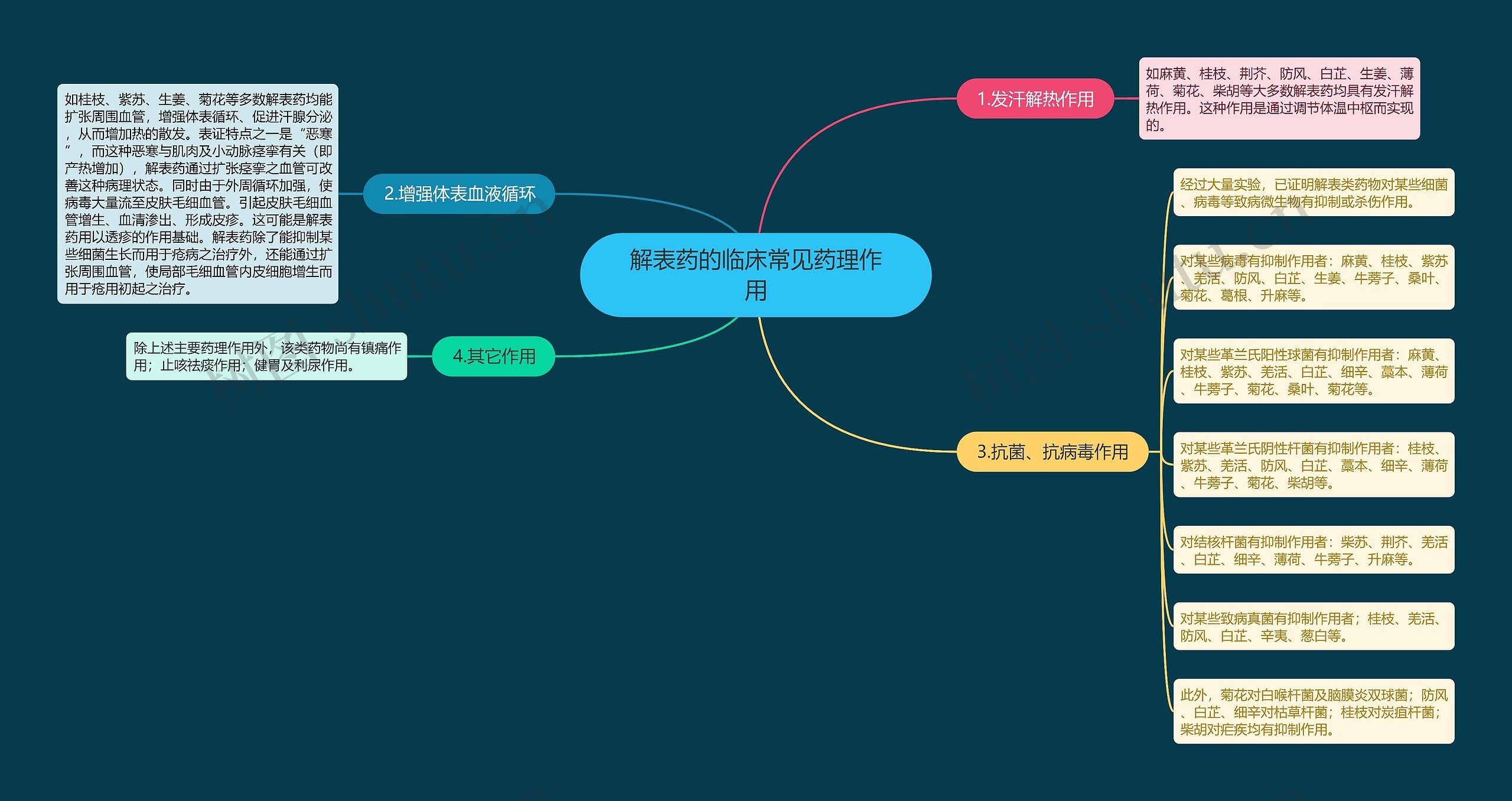 解表药的临床常见药理作用思维导图