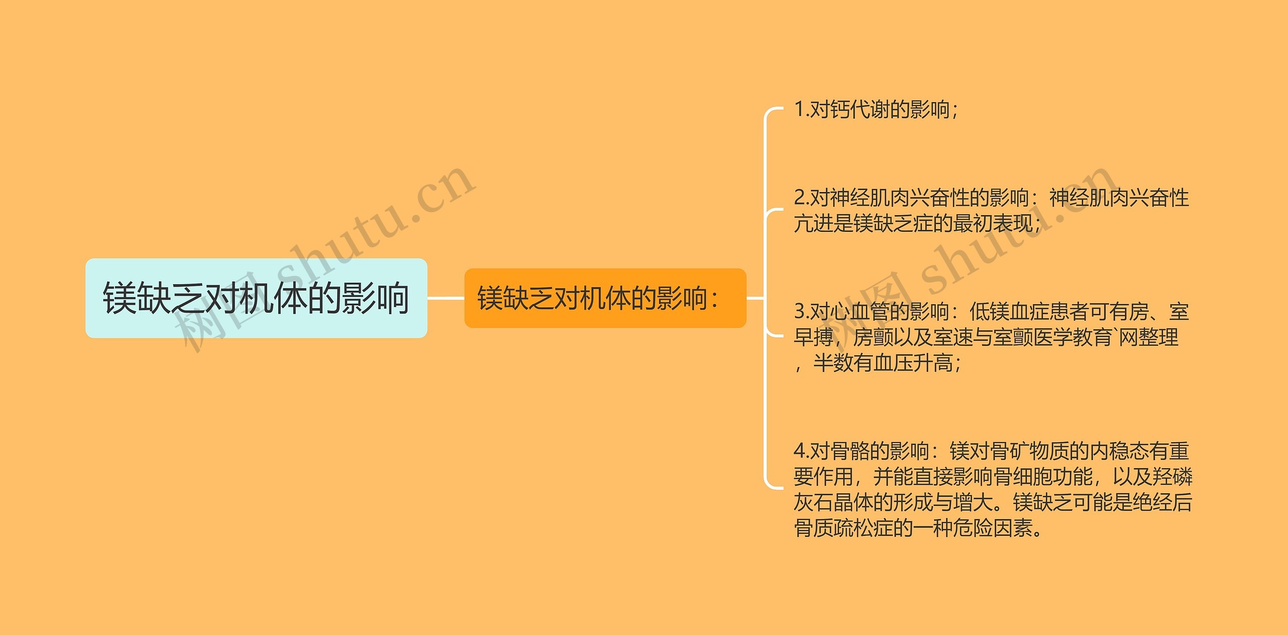 镁缺乏对机体的影响
