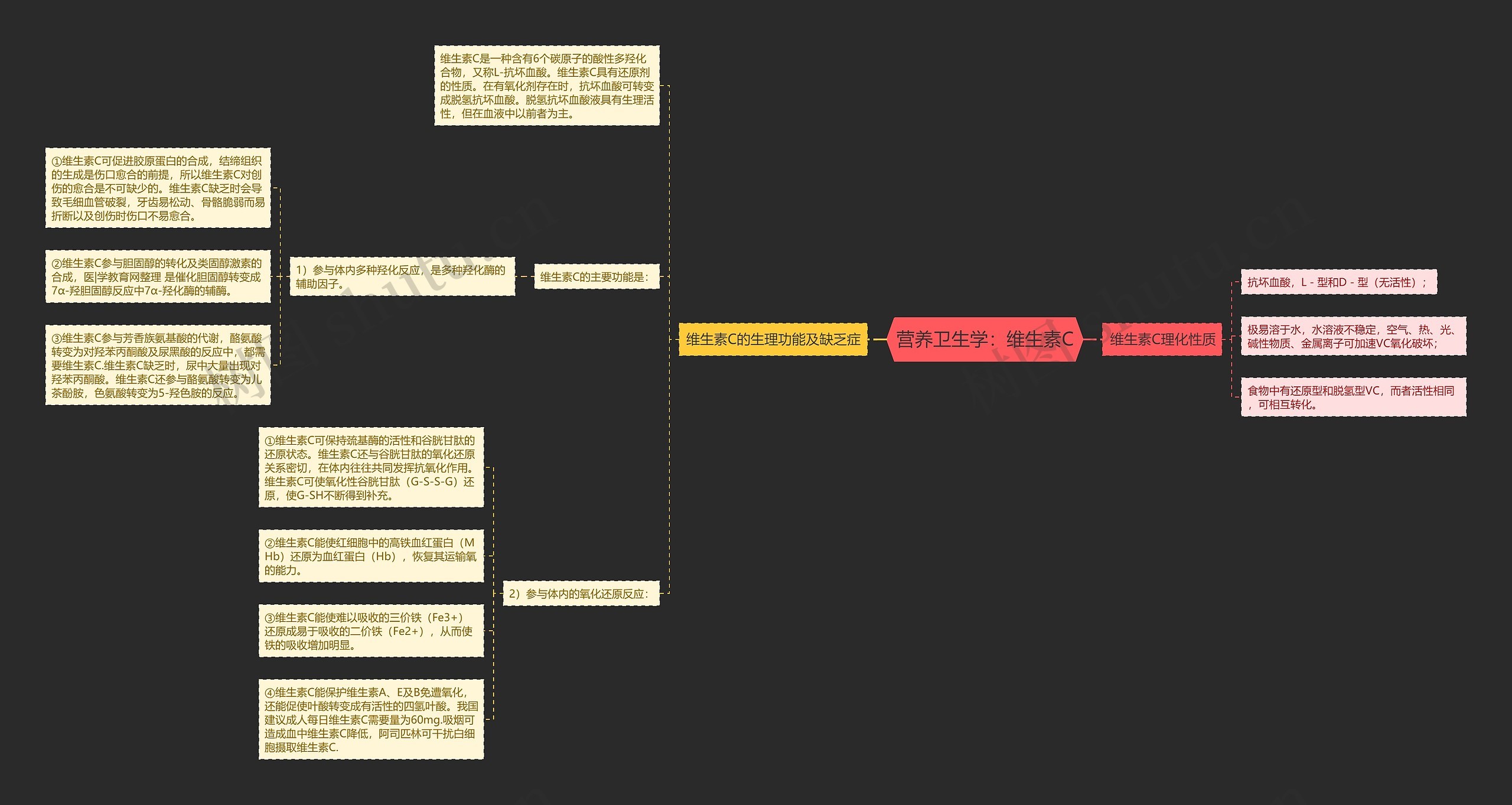 营养卫生学：维生素C思维导图