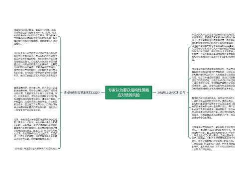 专家认为要以结构性策略应对债务风险