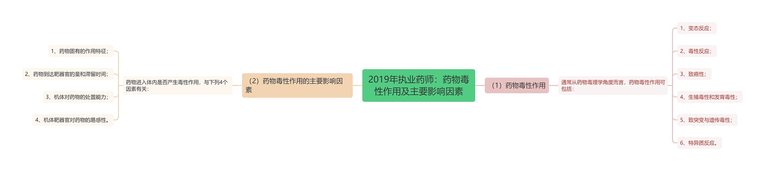 2019年执业药师：药物毒性作用及主要影响因素