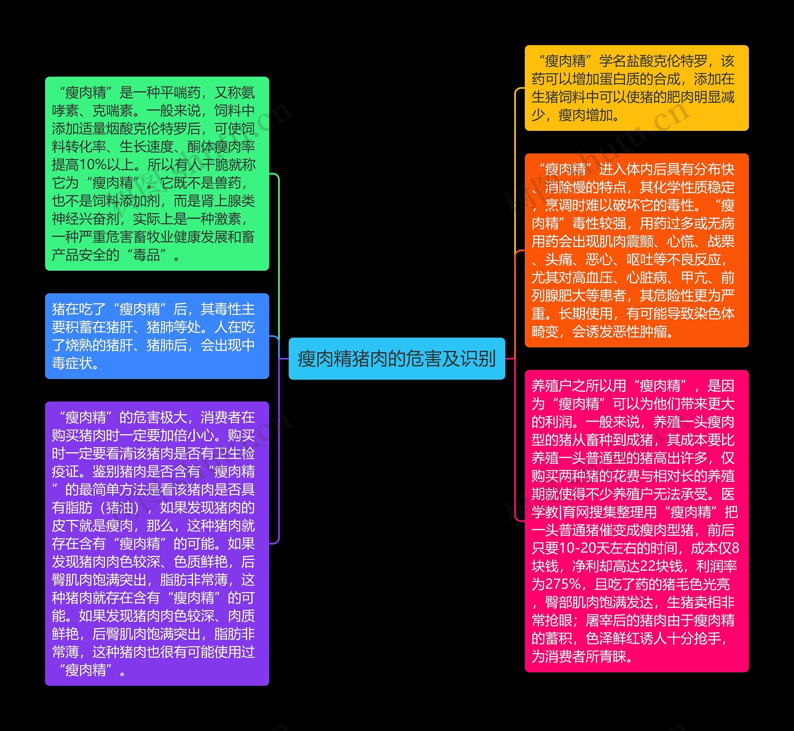 瘦肉精猪肉的危害及识别思维导图