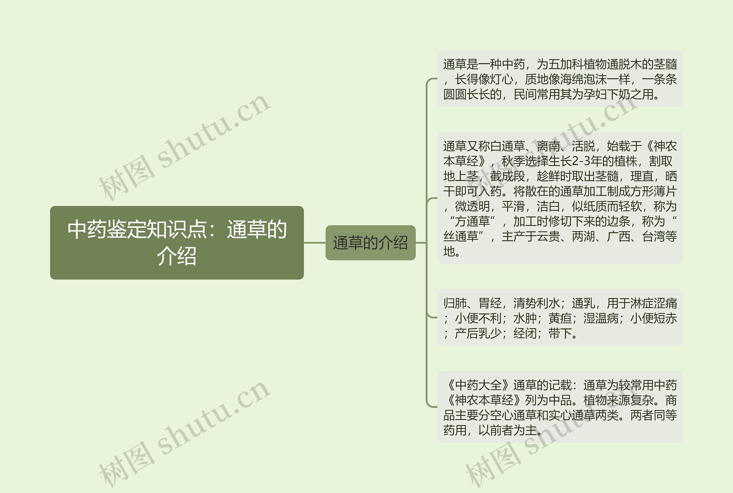 中药鉴定知识点：通草的介绍思维导图