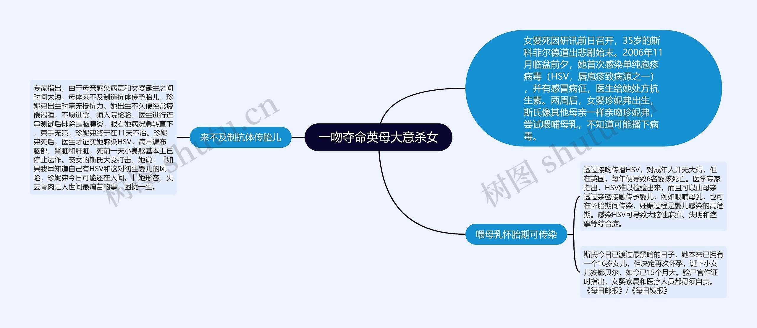 一吻夺命英母大意杀女思维导图