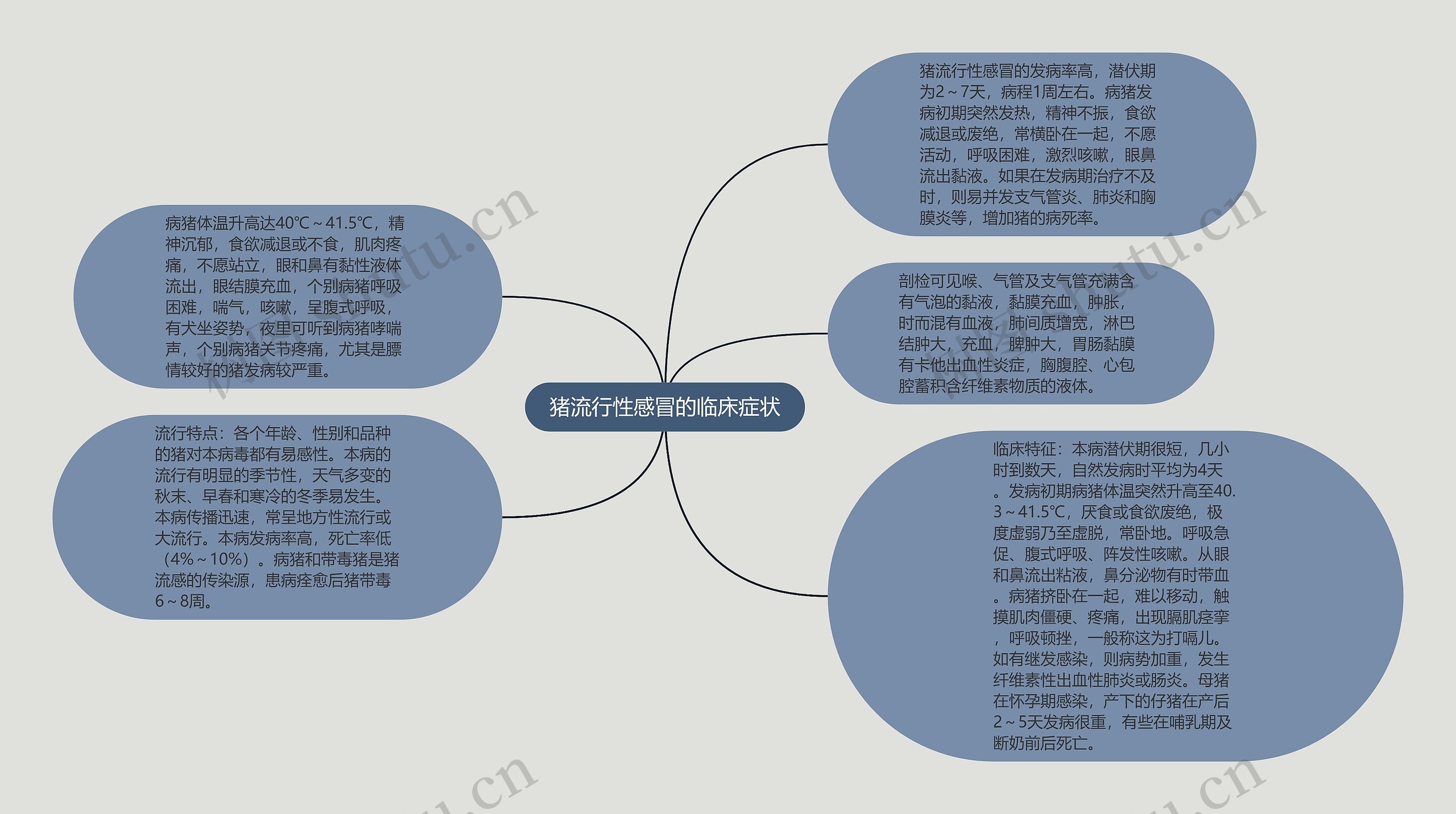 猪流行性感冒的临床症状思维导图