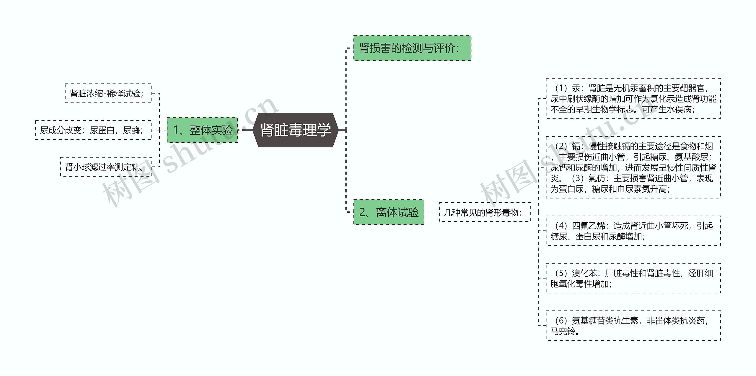 肾脏毒理学思维导图