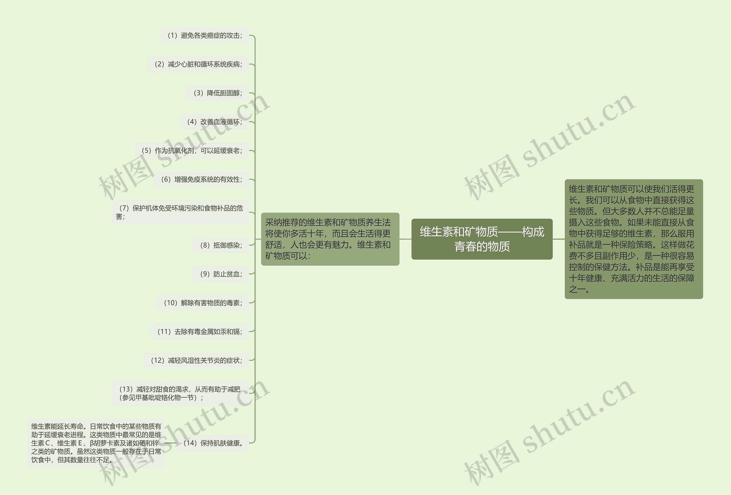 维生素和矿物质——构成青春的物质