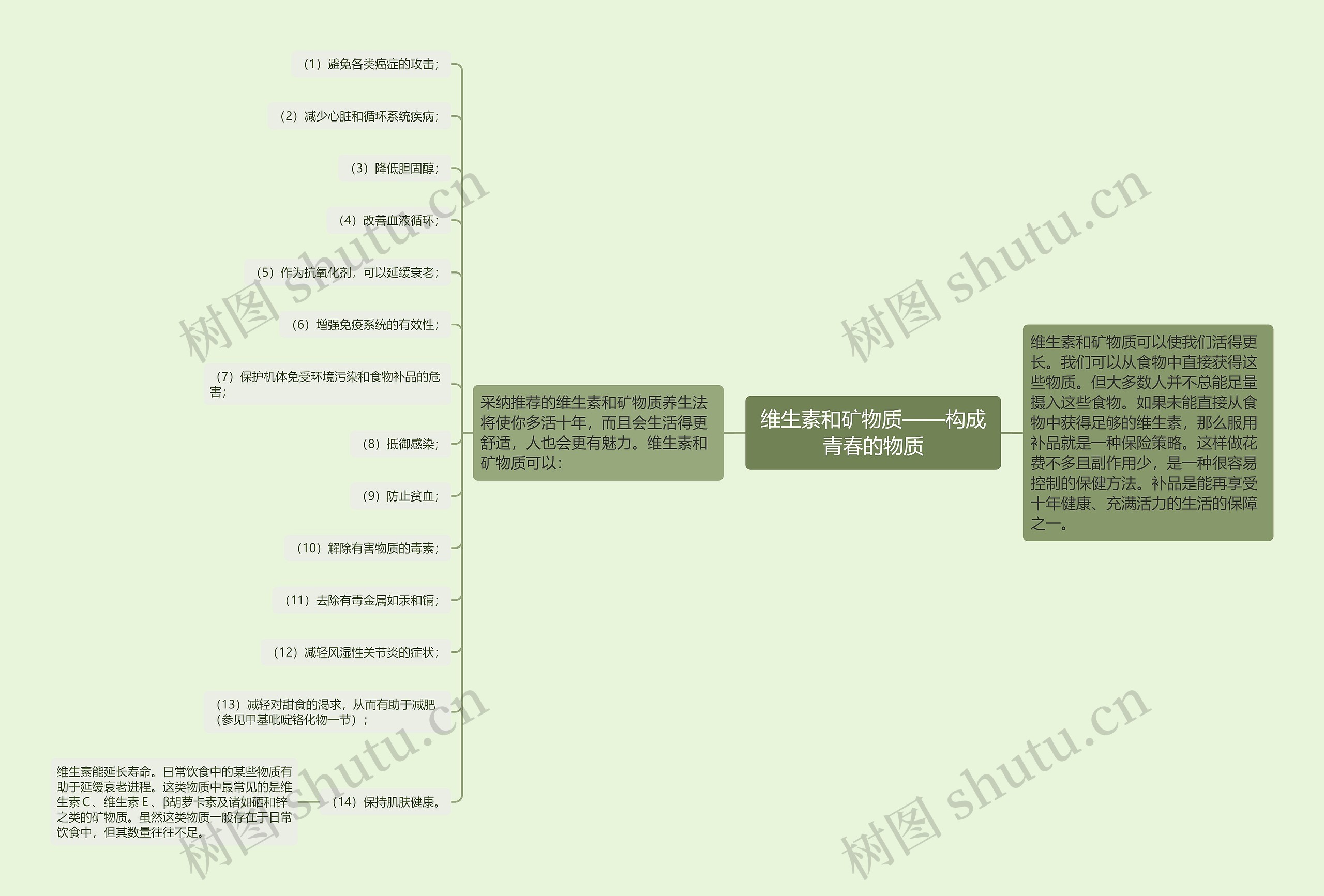 维生素和矿物质——构成青春的物质思维导图