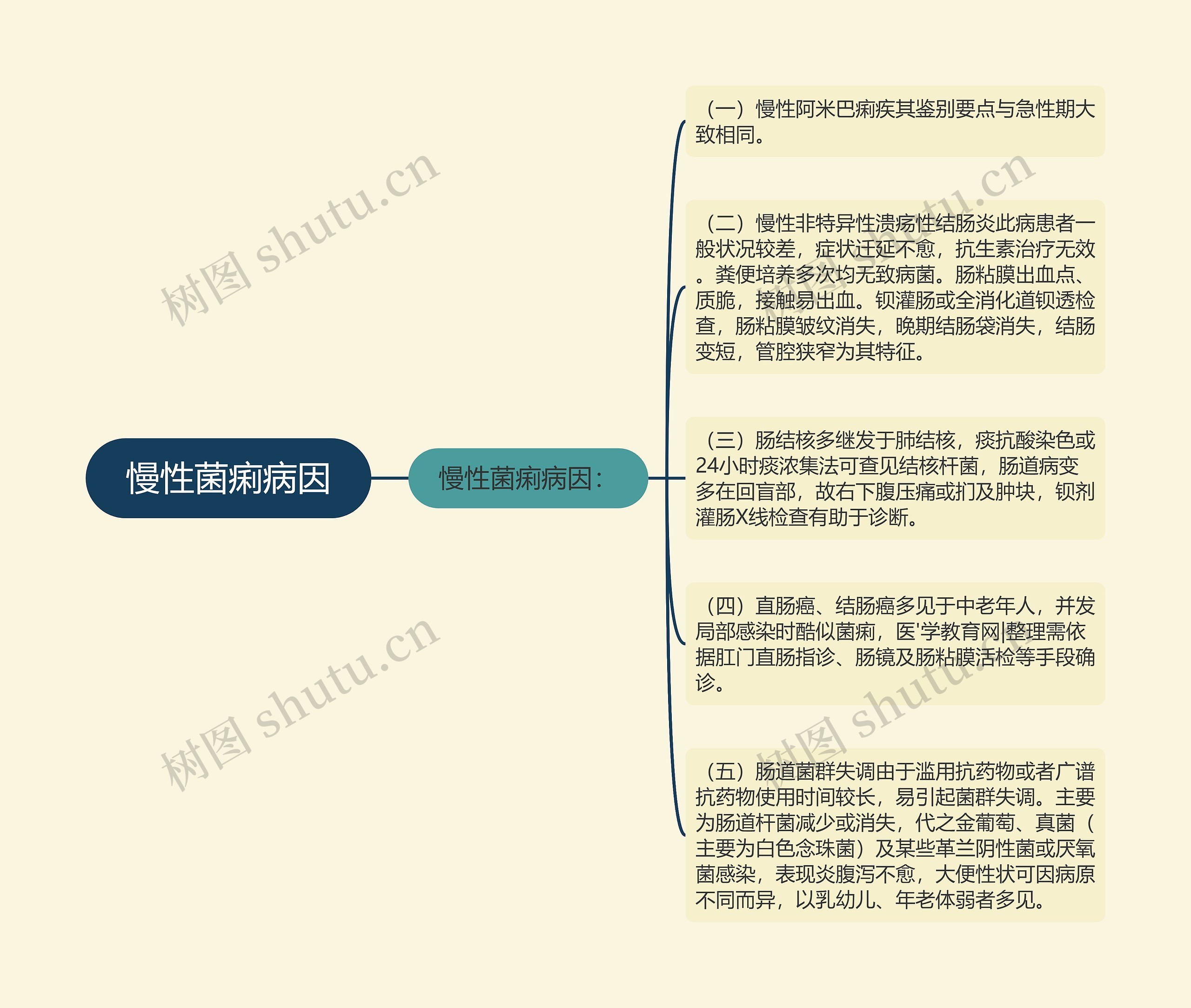 慢性菌痢病因思维导图