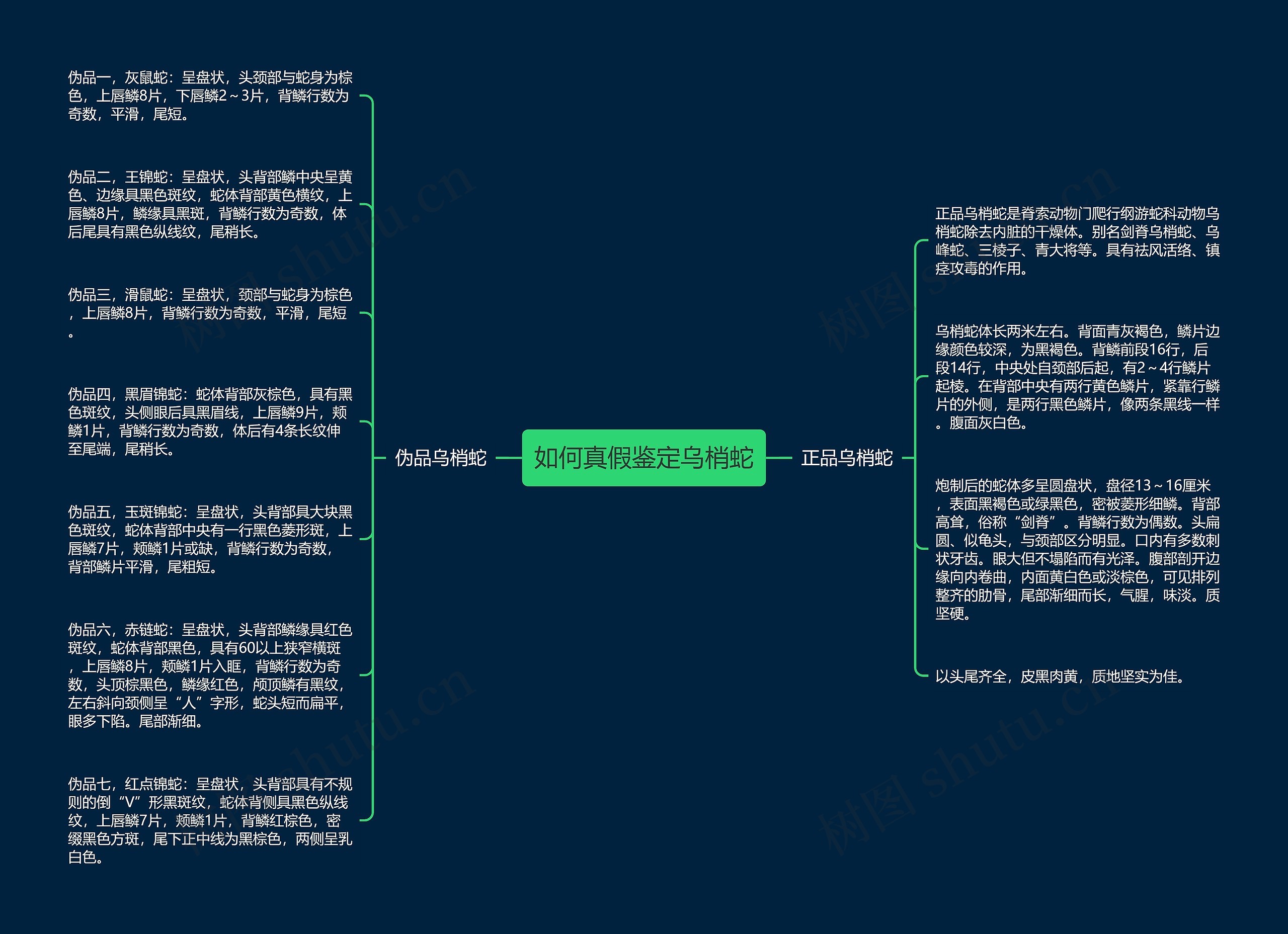 如何真假鉴定乌梢蛇思维导图