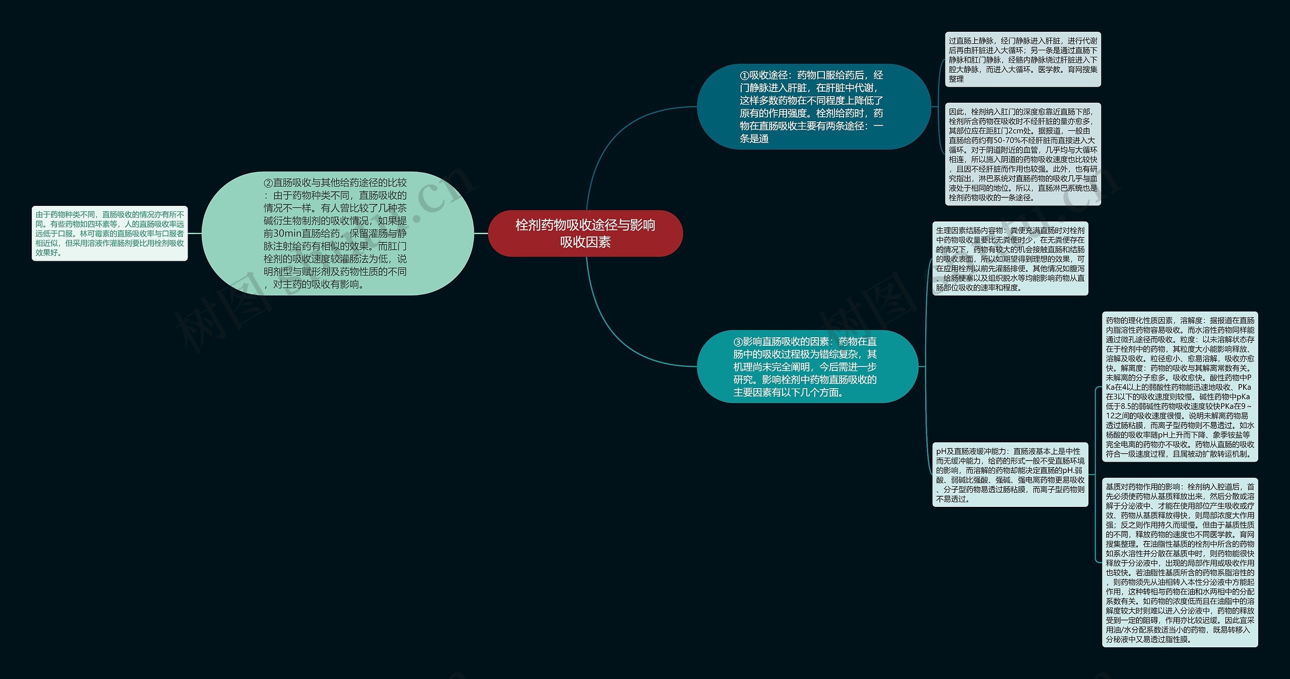 栓剂药物吸收途径与影响吸收因素思维导图