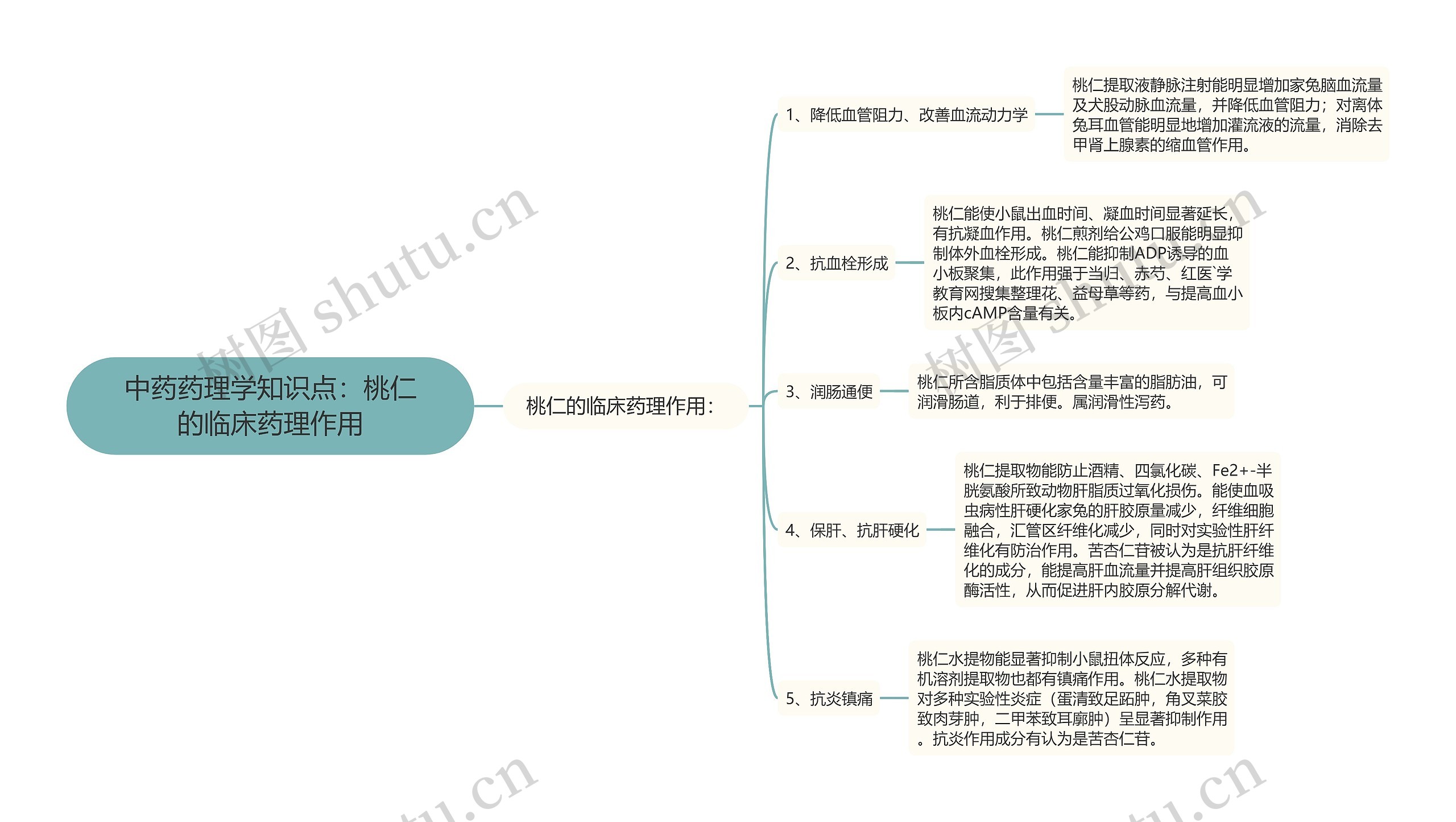 中药药理学知识点:桃仁的临床药理作用 中药药理学知识点:桃仁的临床药理作用