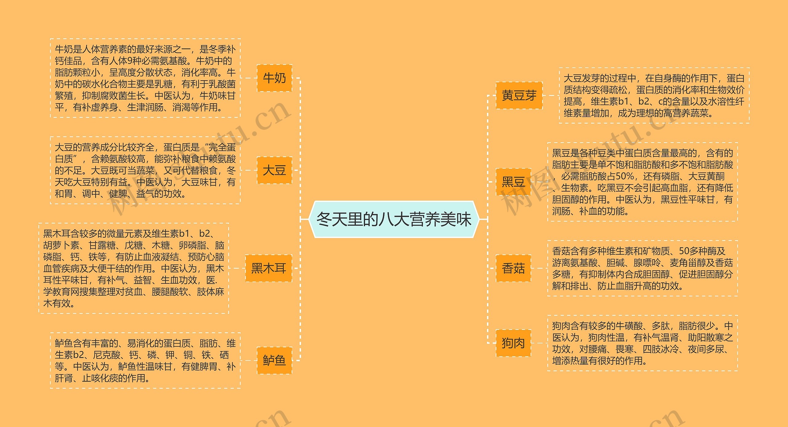 冬天里的八大营养美味