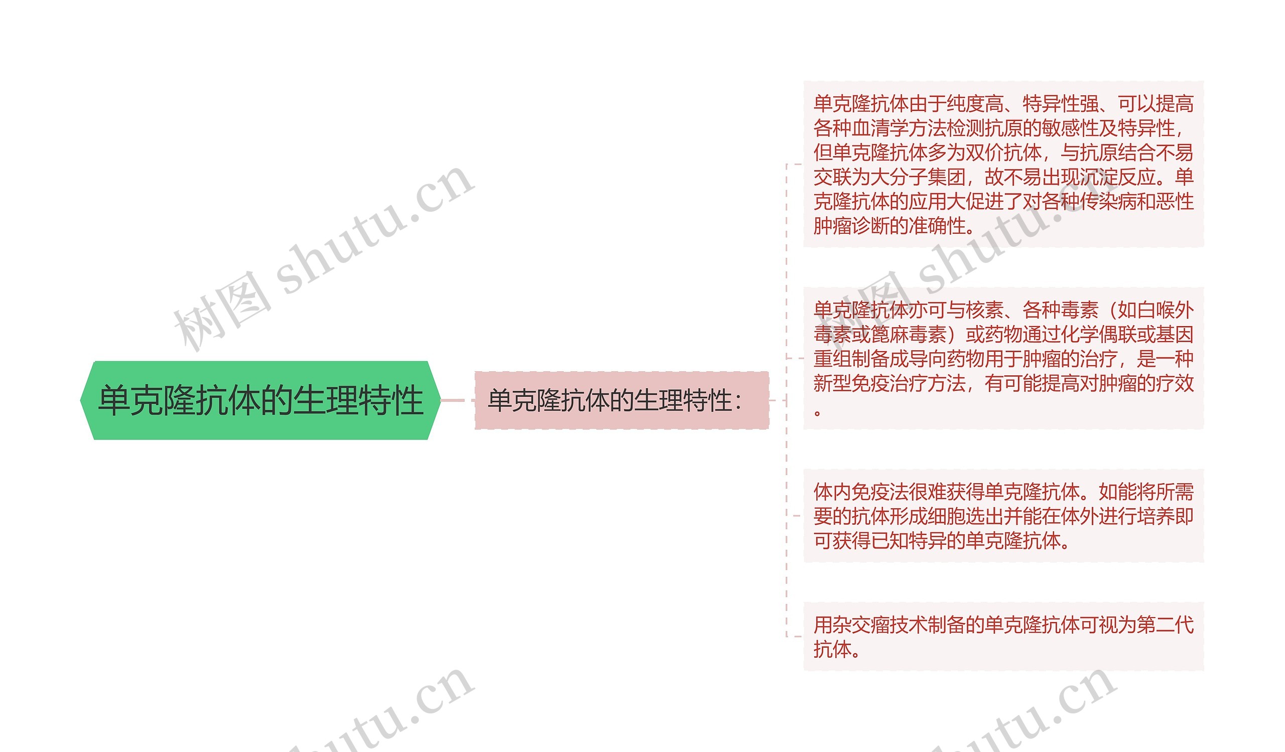 单克隆抗体的生理特性