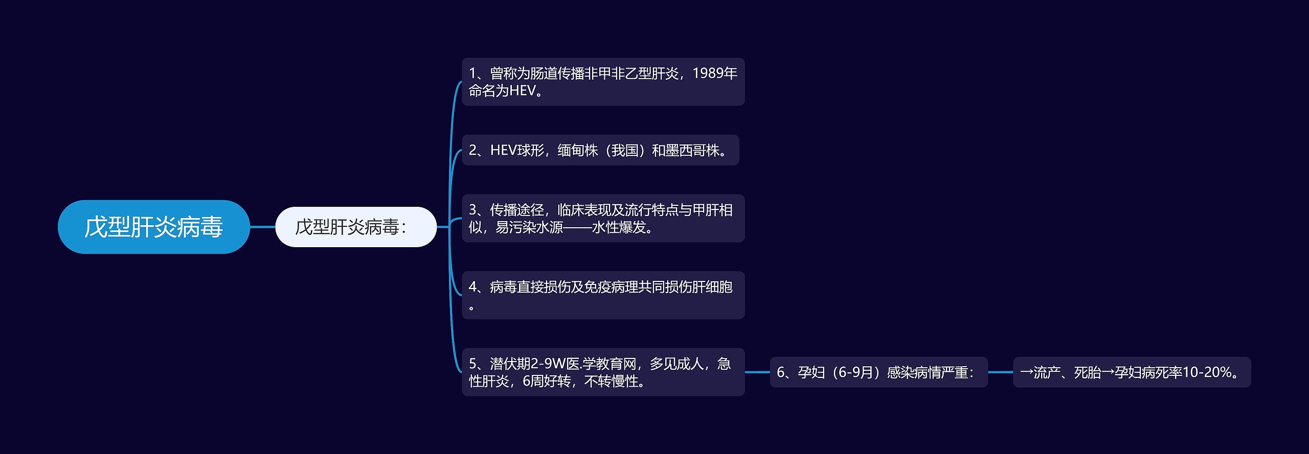 戊型肝炎病毒思维导图