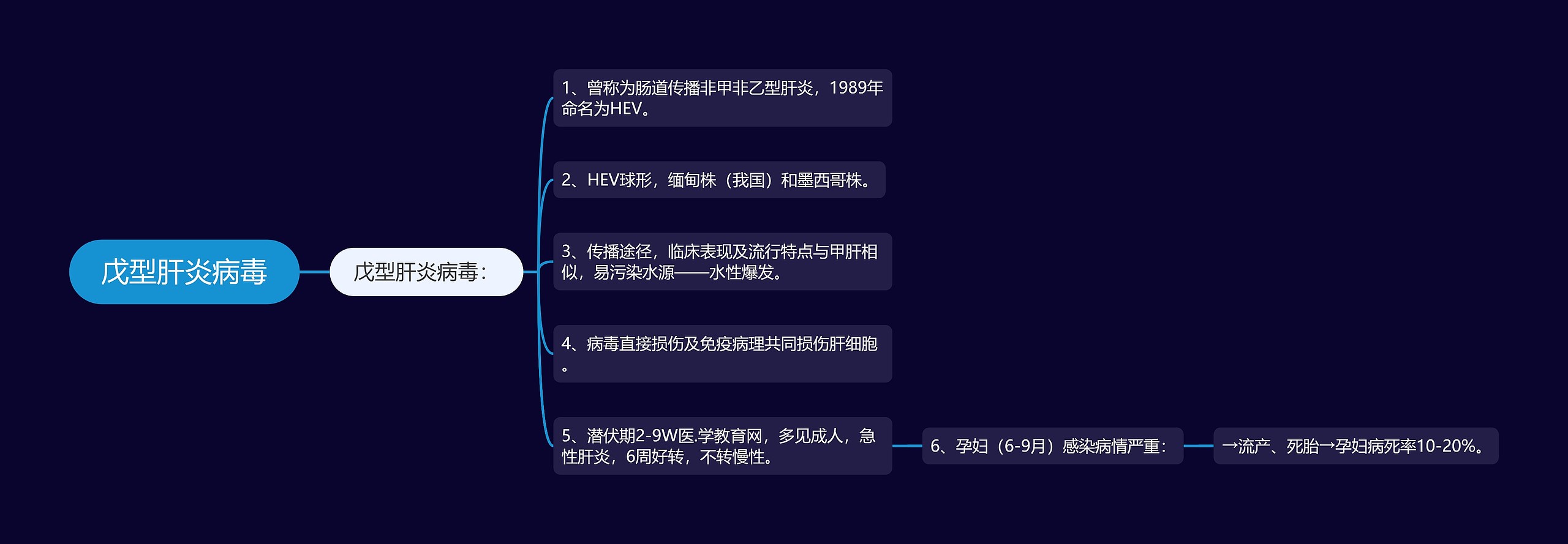 戊型肝炎病毒 戊型肝炎病毒