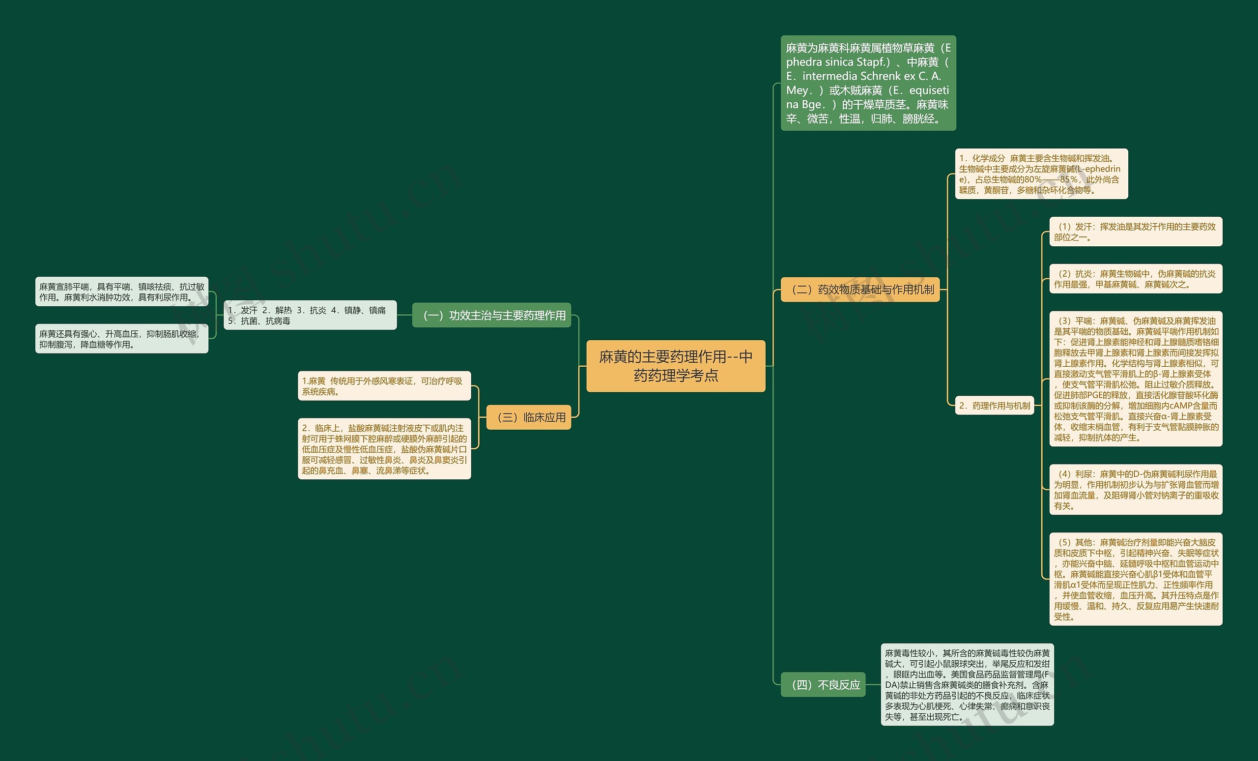 麻黄的主要药理作用--中药药理学考点 麻黄的主要药理作用--中药药理学考点