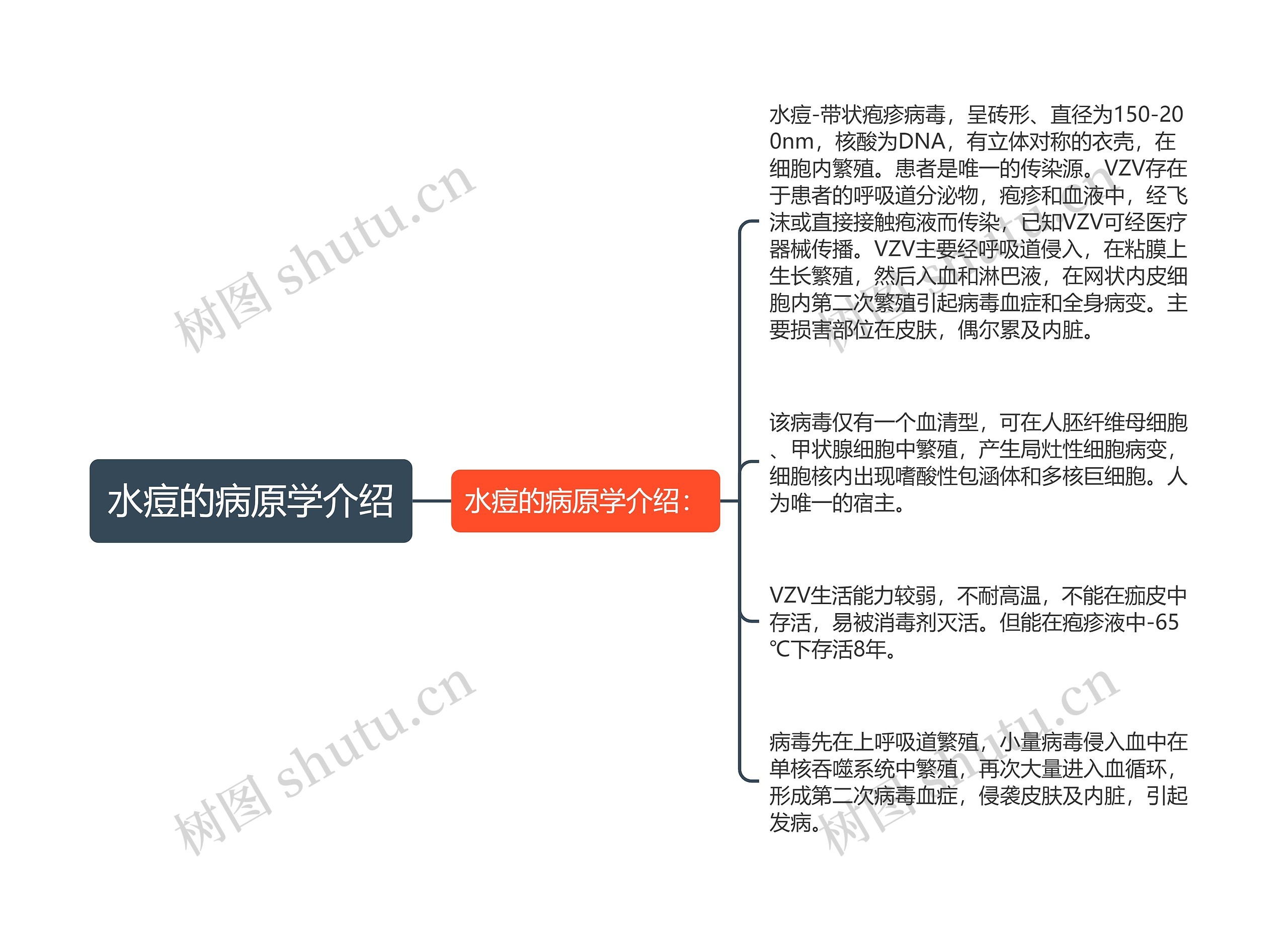 水痘的病原学介绍思维导图