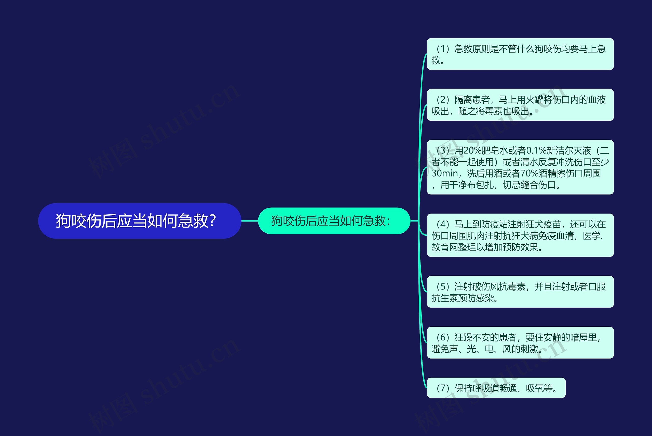 狗咬伤后应当如何急救？思维导图