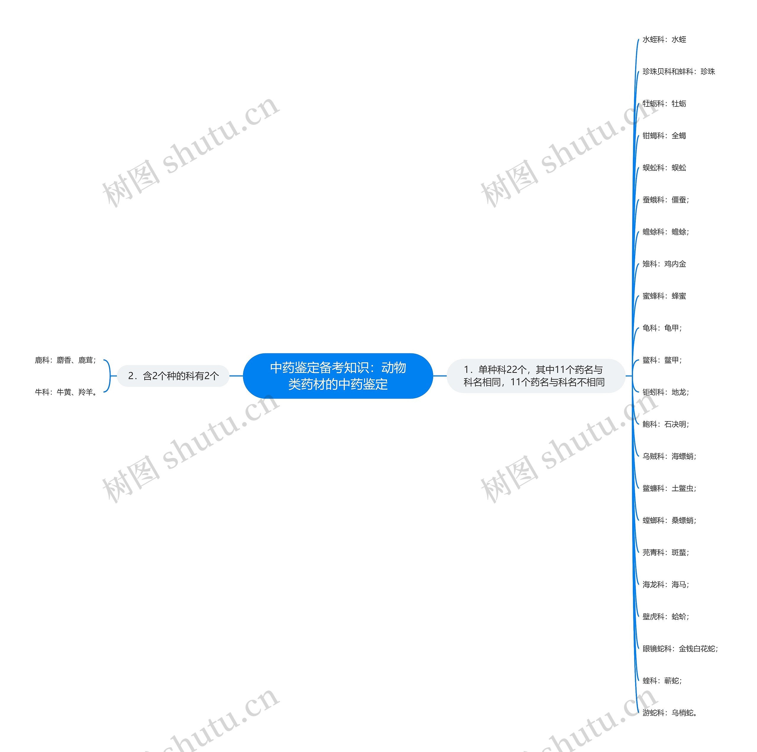 中药鉴定备考知识：动物类药材的中药鉴定思维导图