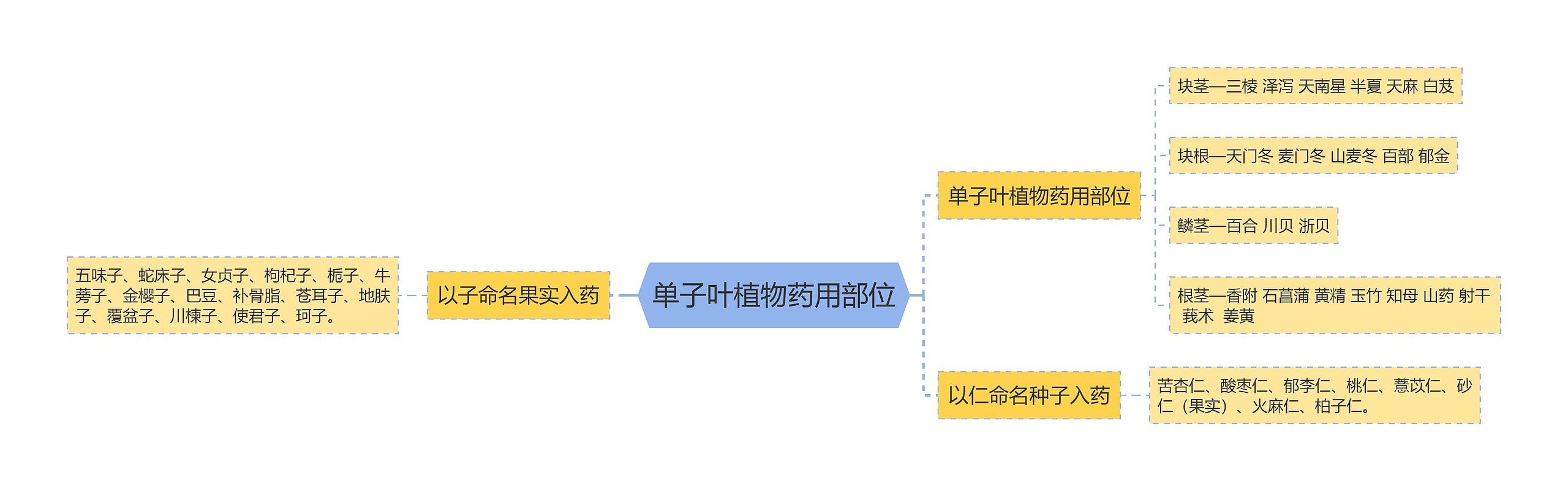 单子叶植物药用部位思维导图