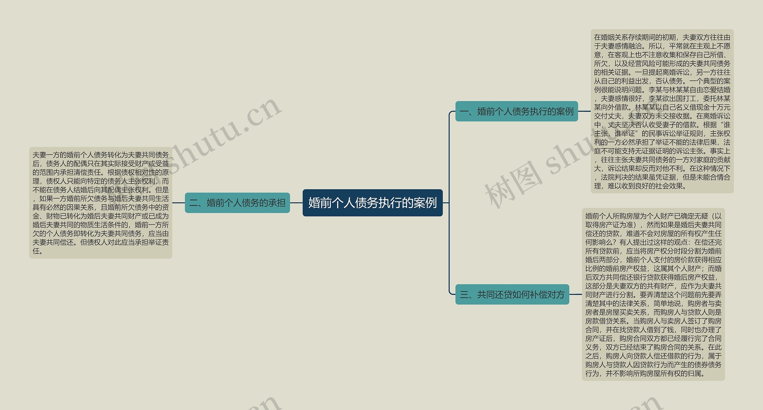 婚前个人债务执行的案例思维导图